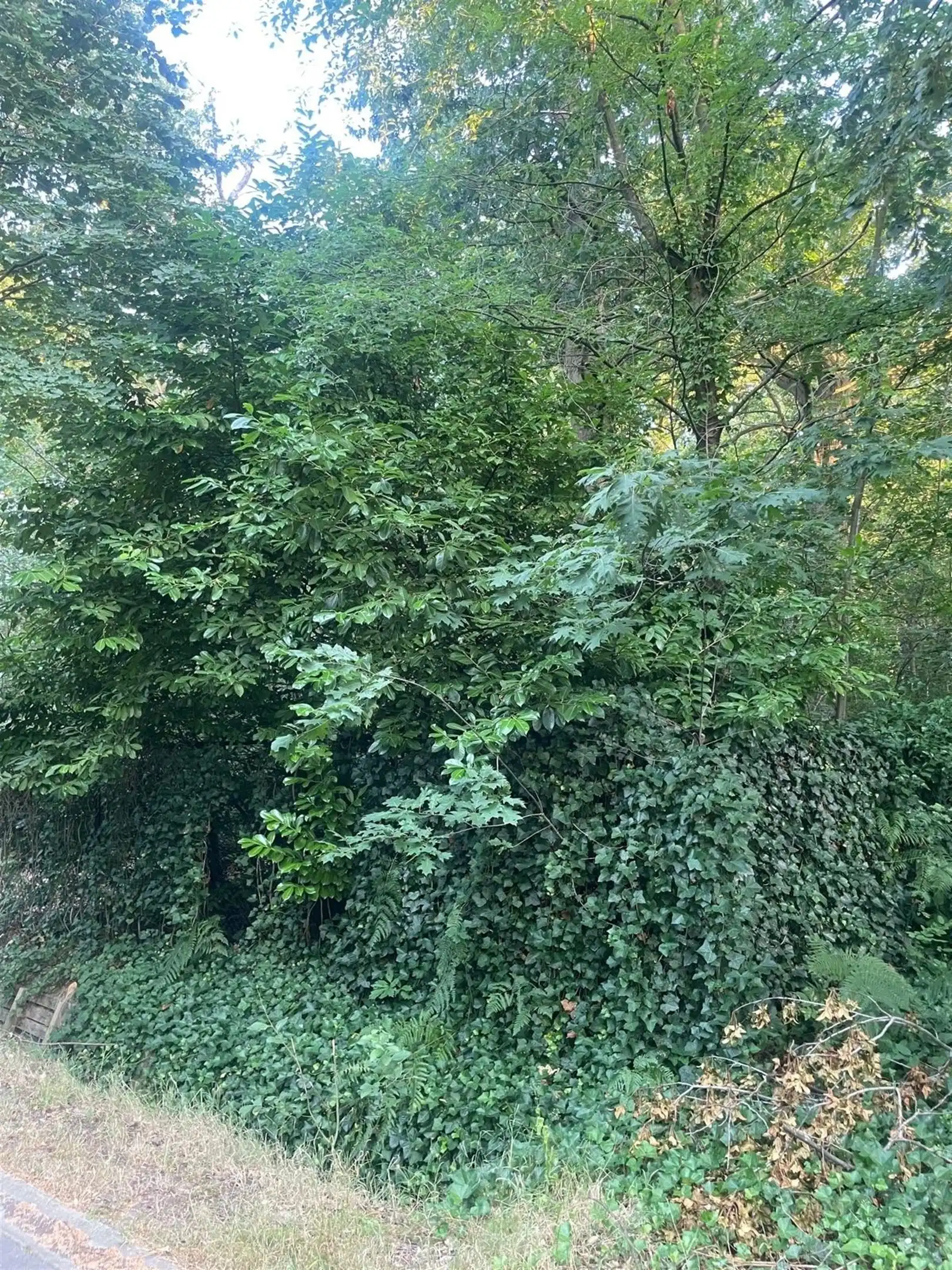 Open bouwgrond van ca. 3.755 m² foto 10