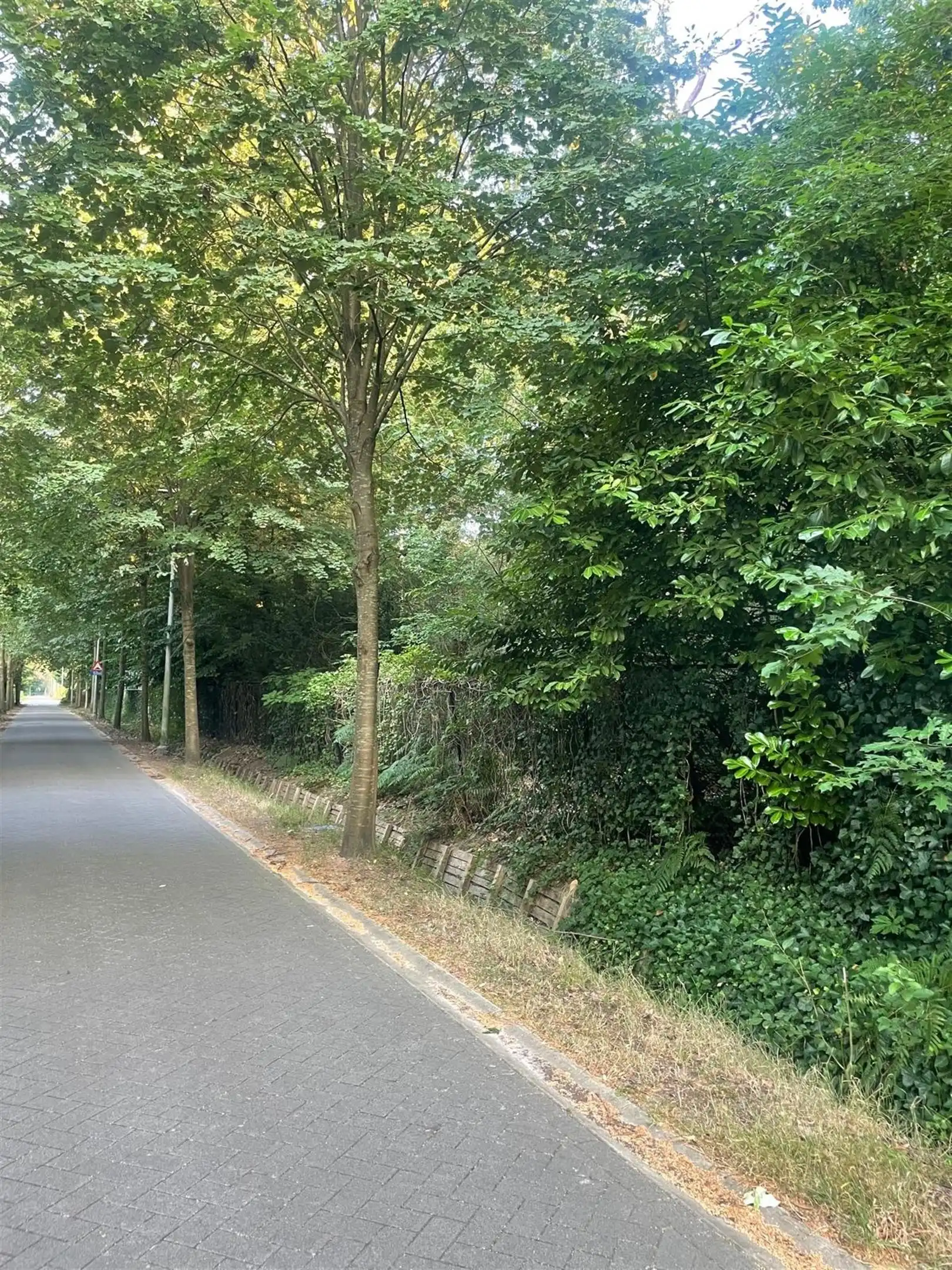 Open bouwgrond van ca. 3.755 m² foto 10