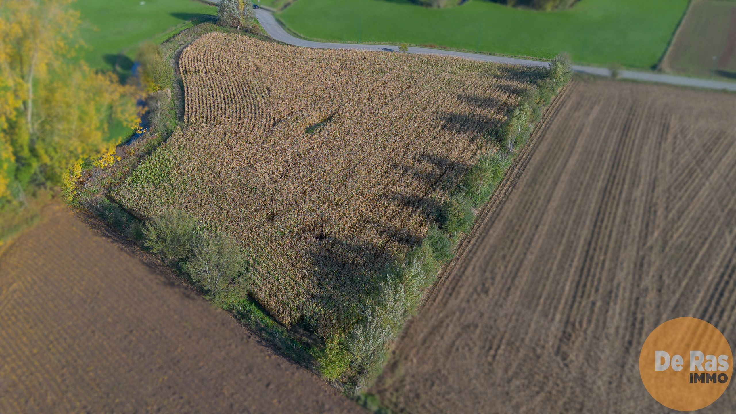 AALST - Landbouwgrond/weide 81a foto 6