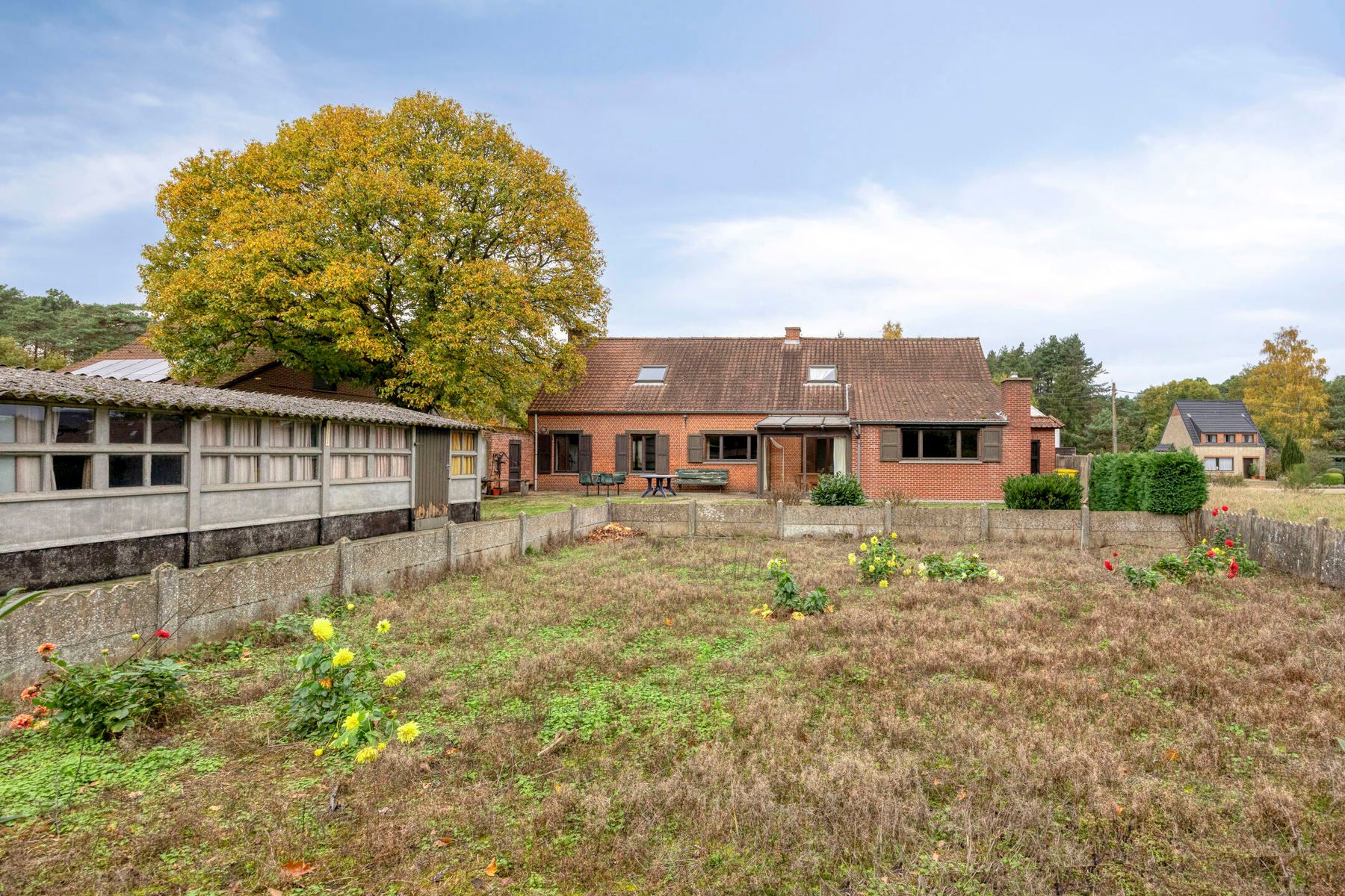 Karaktervolle te renoveren woning op perceel van 37a20ca! foto 29