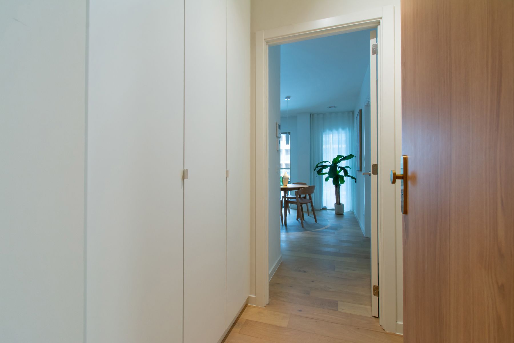 appartement 1 chambre 1 salle de bain grande terrasse foto 12