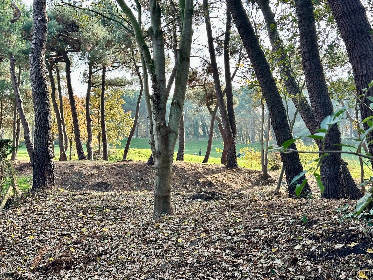 Zeldzame eigendom met prachtig zicht naar de Royal Zoute Golf, aan de hole 15. foto 4