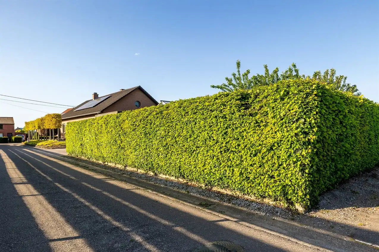 Gerenoveerde woning 3slk op rustige ligging foto 43