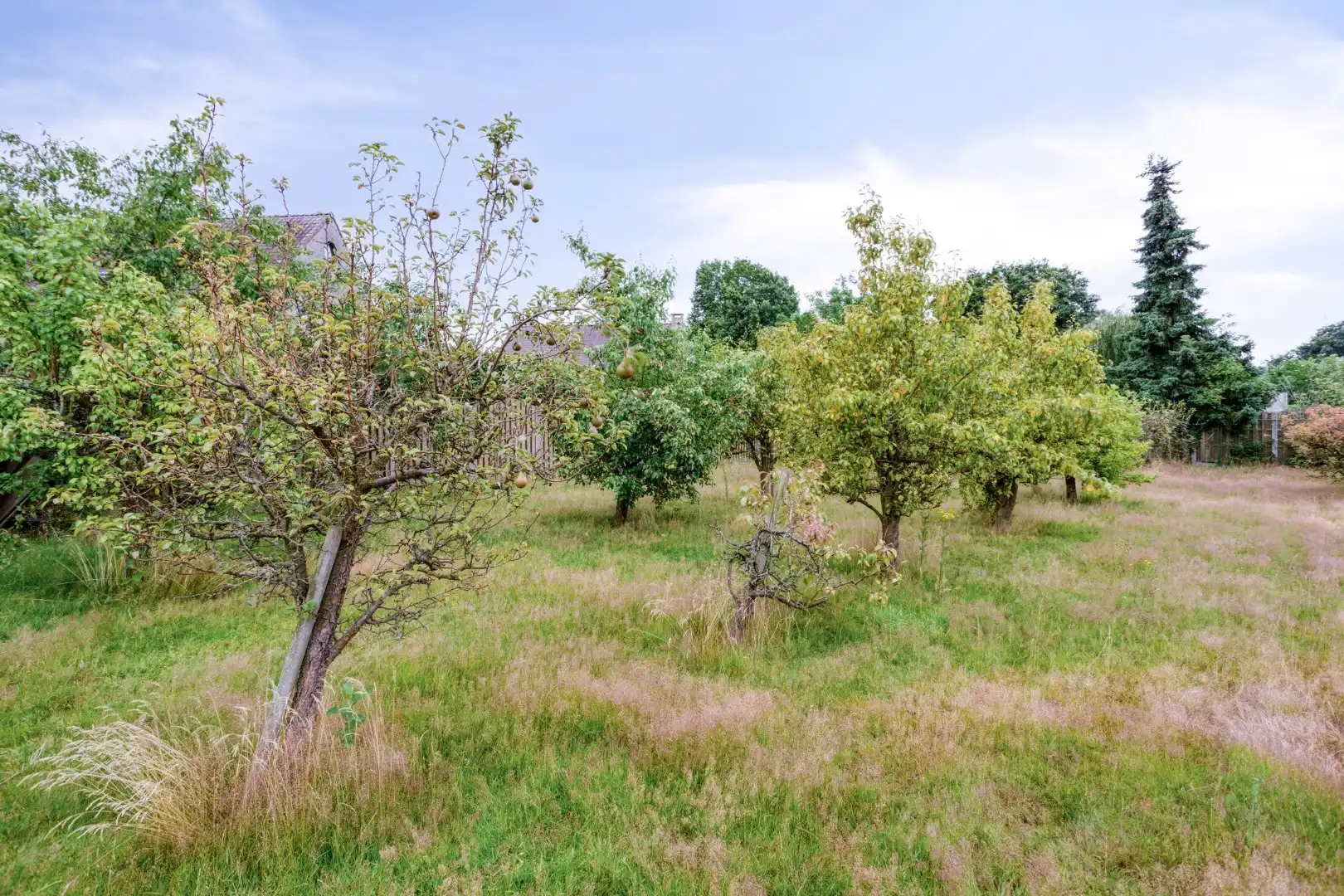 Ruime woning met 3 slaapkamers op een perceel van 1.880 m² te Olen-Centrum ! foto 32