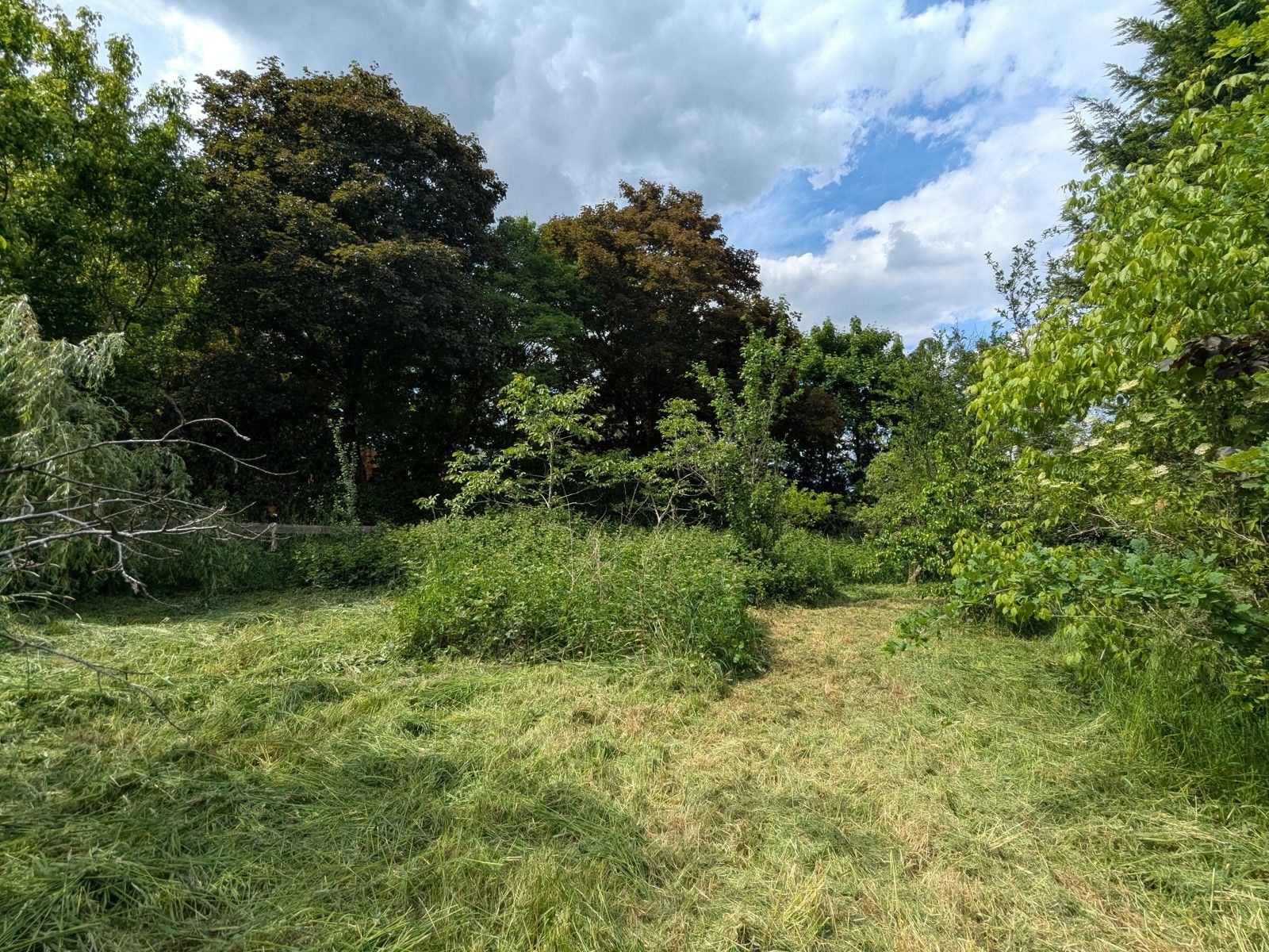 Karaktervolle jaren 70 villa op zuid-gericht perceel 1994m²  foto 3