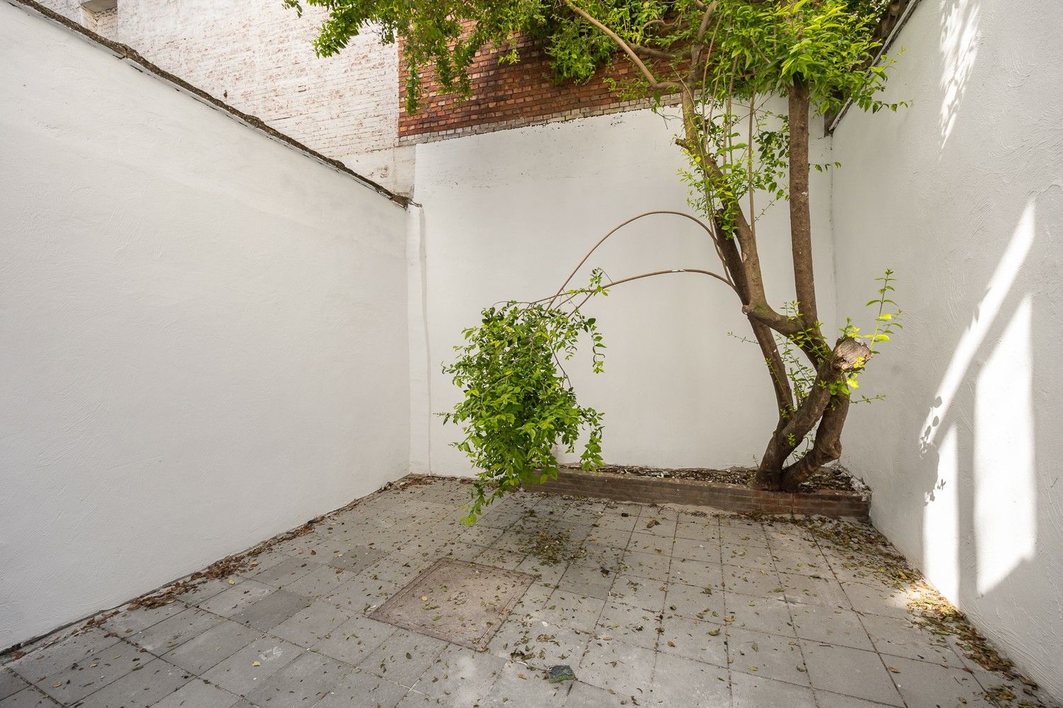 Gerenoveerd gelijkvloers appartement met 1 slaapkamer in het hart van Antwerpen foto 7