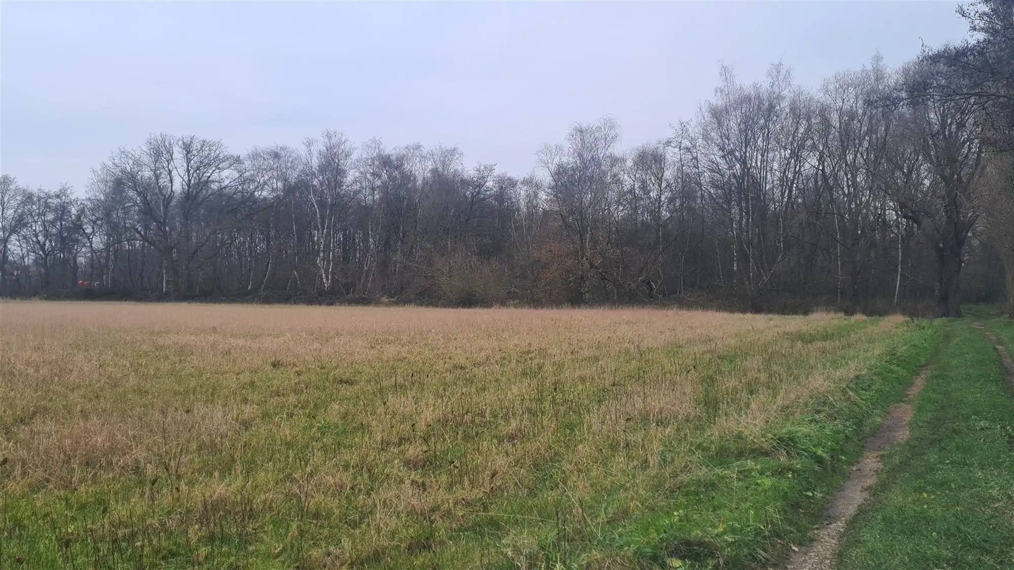 Landbouwgrond foto 6