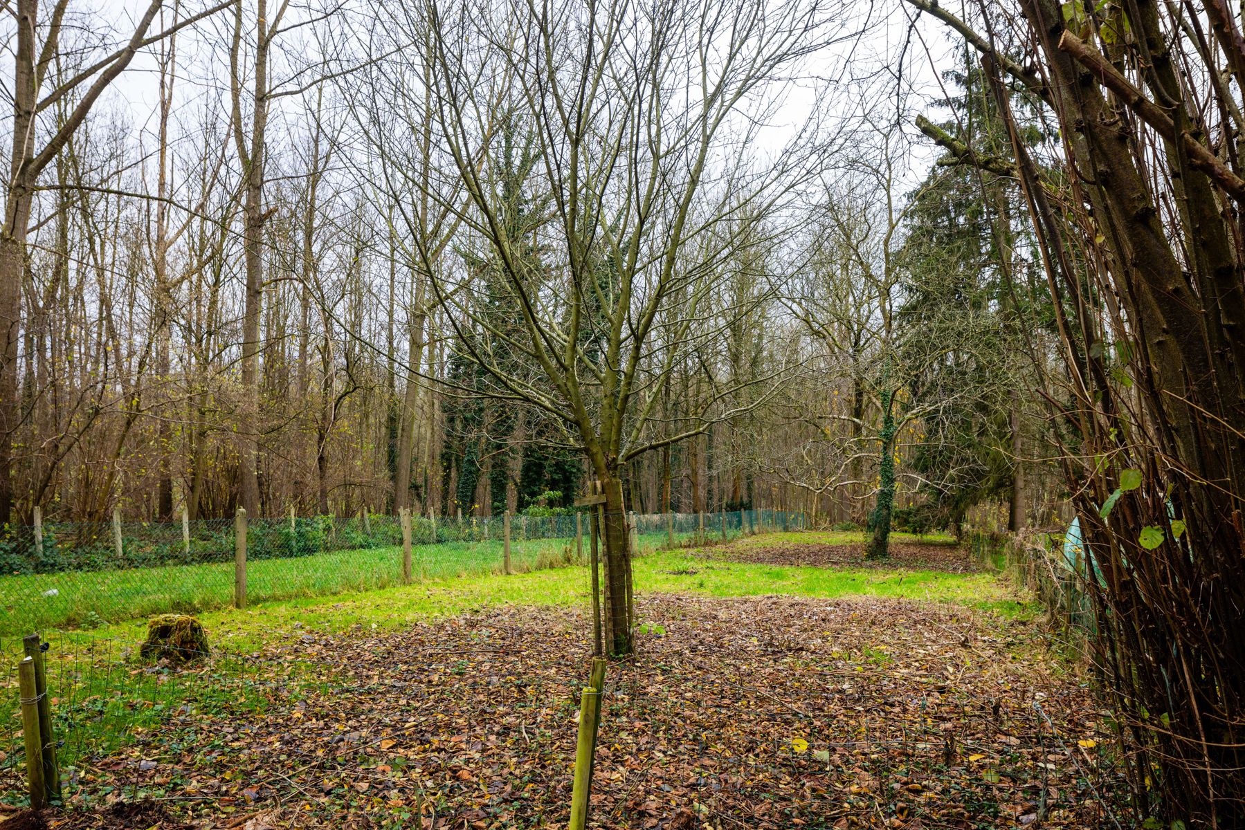 Charmante woning met groot terrein in rustige omgeving foto 8