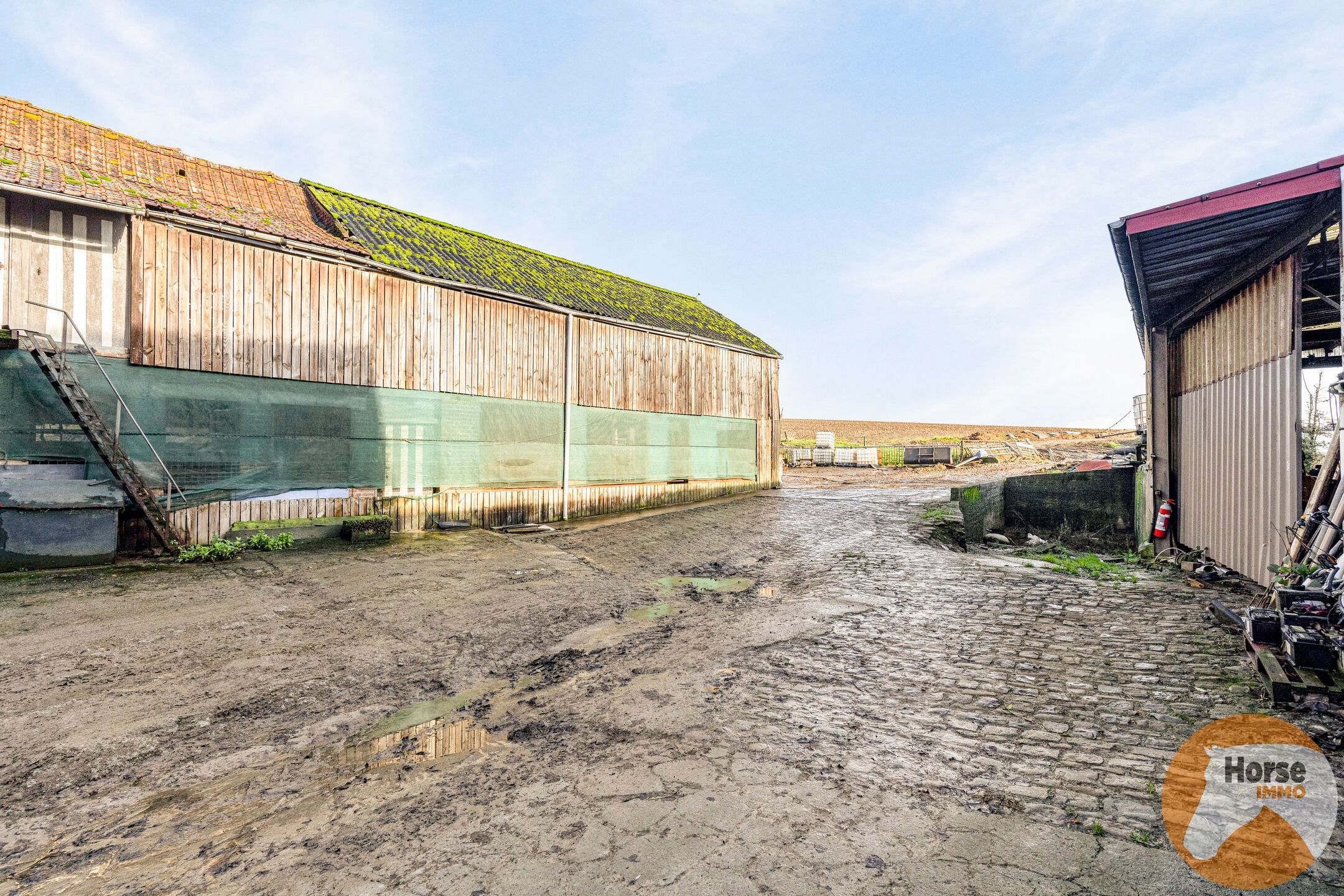 FRASNES-LES-BUISSENAL - Landbouwbedrijf op 1,9HA foto 36