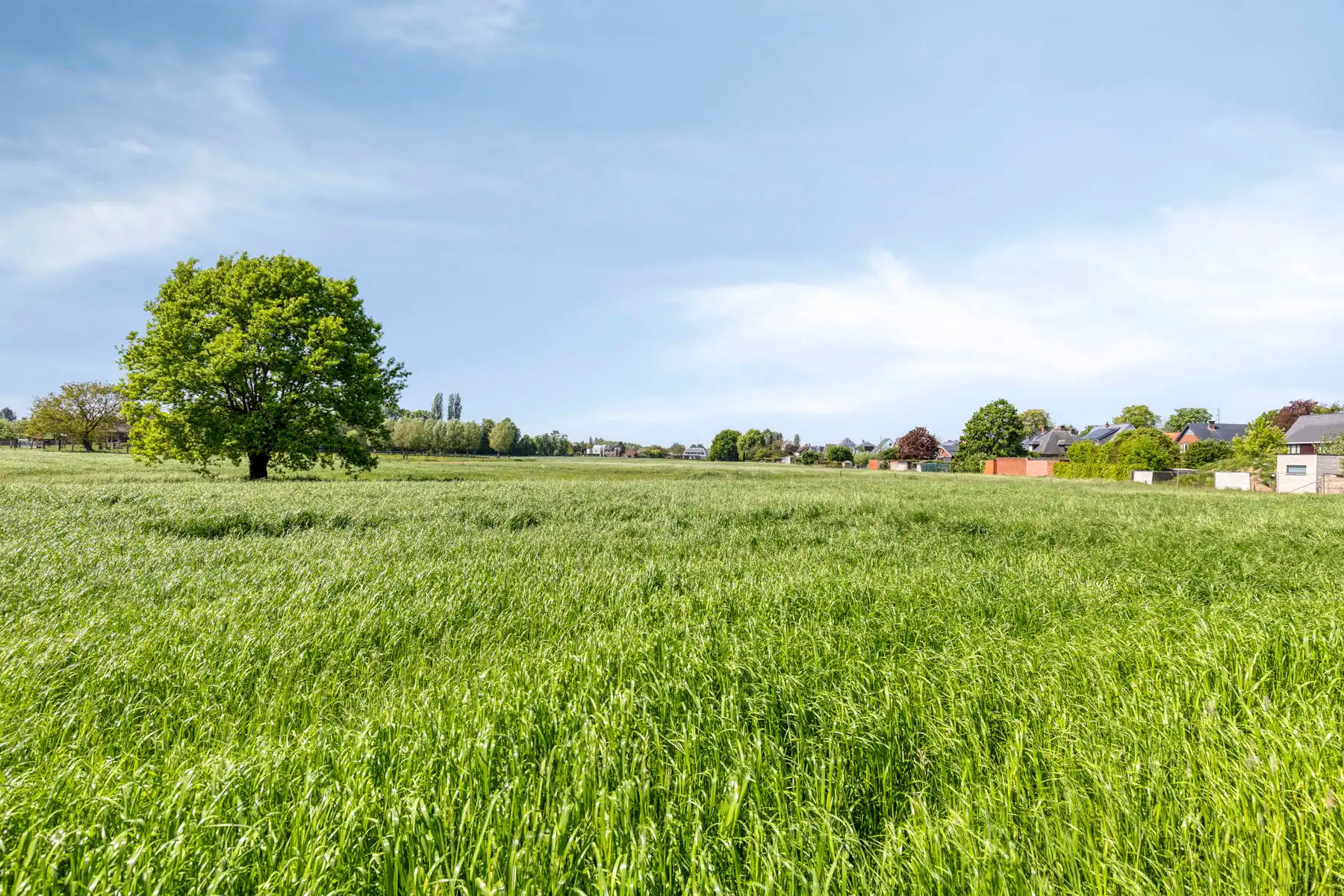 Ruime authentieke hoeve op een perceel van 47.440m². foto 22