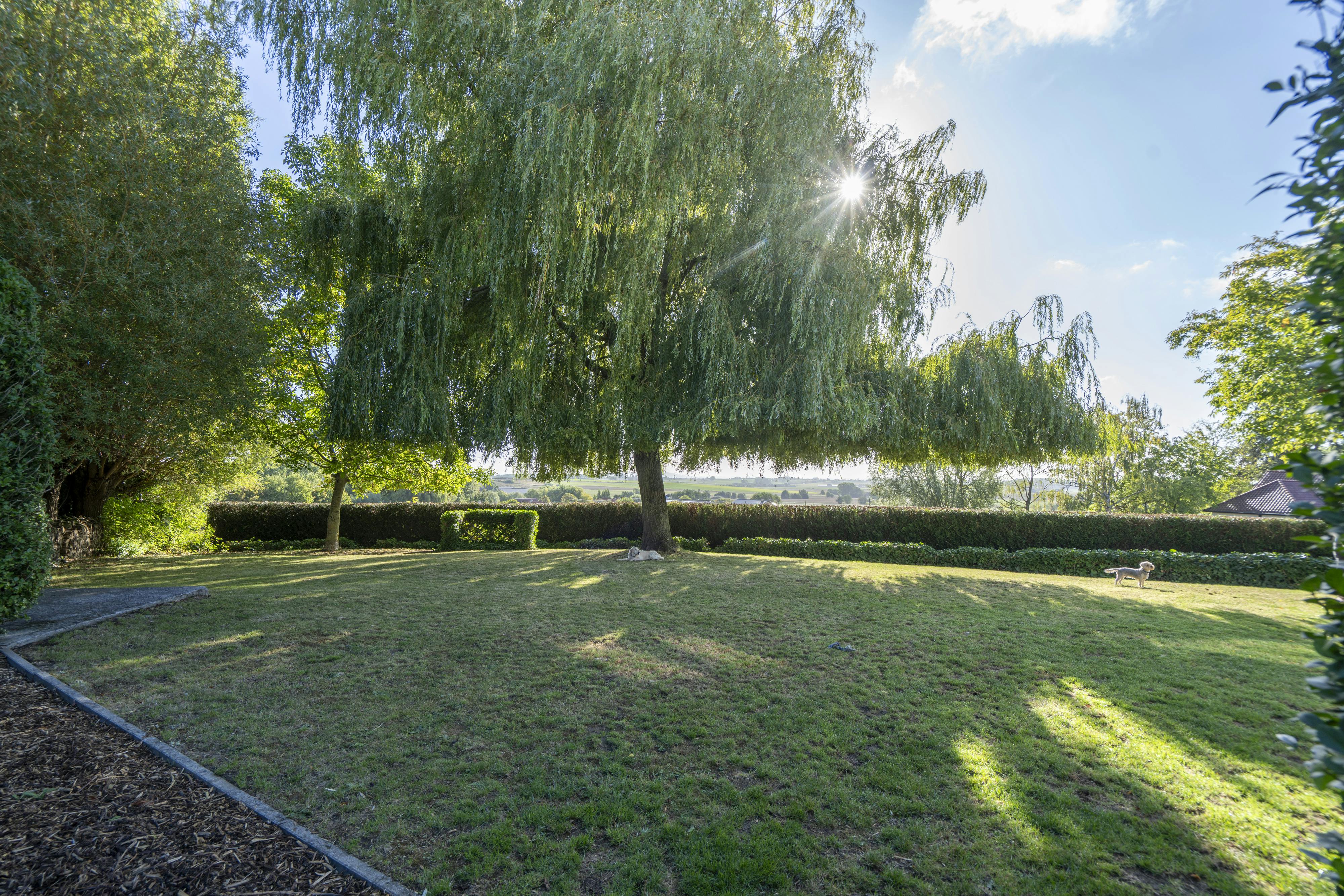 Instapklare villa (1236 m²) met unieke zichten te Bellegem  foto 5