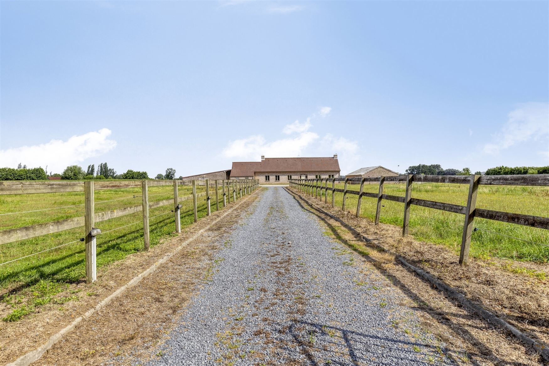 Ruime hoeve met stallingen foto 2