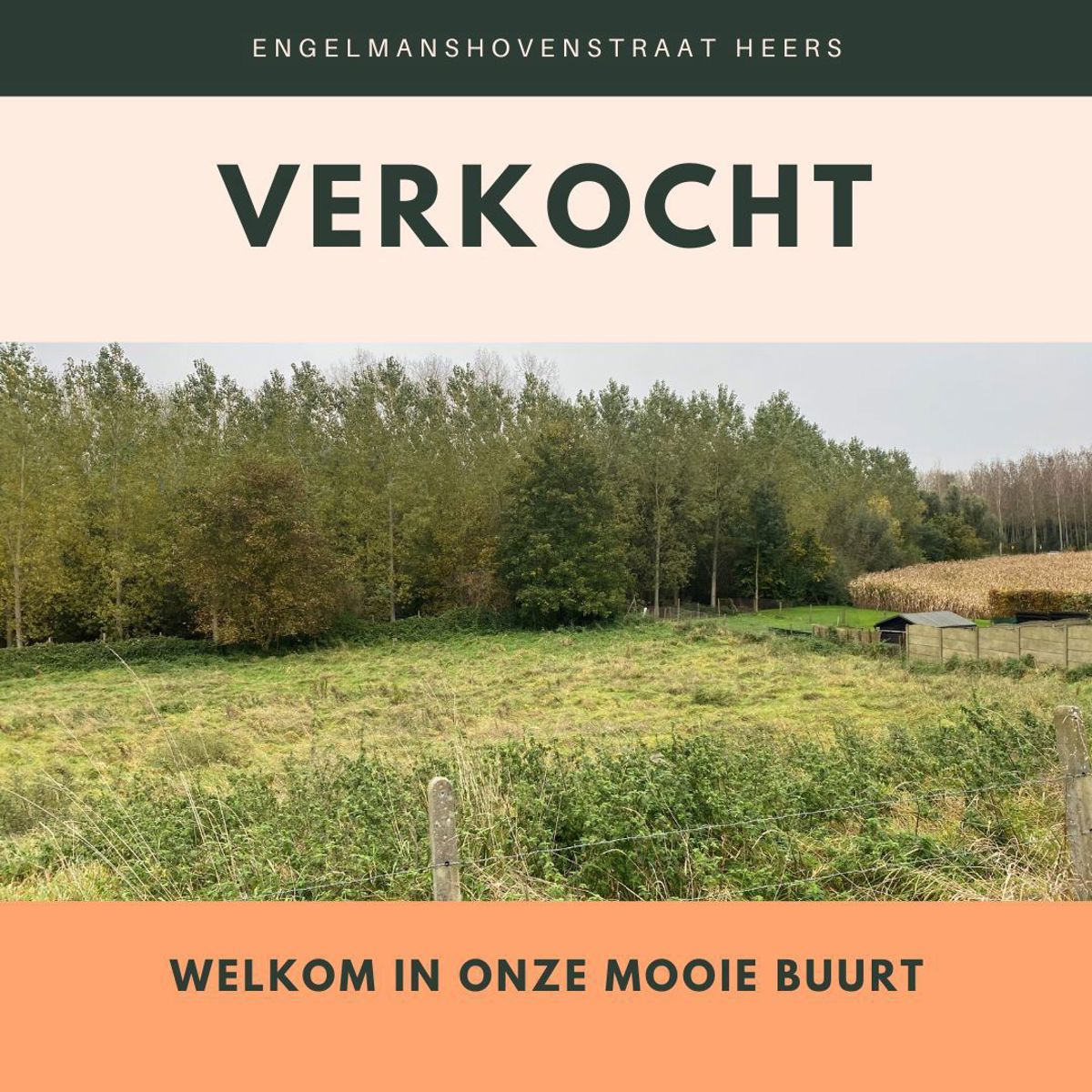 Grond te koop foto {{pictureIndex}}