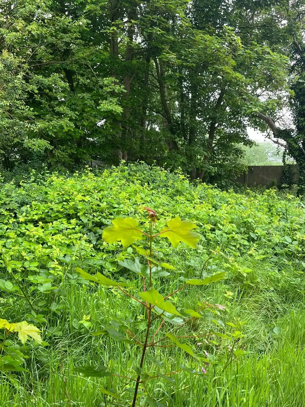 Interessant project in industrieel erfgoed foto 12