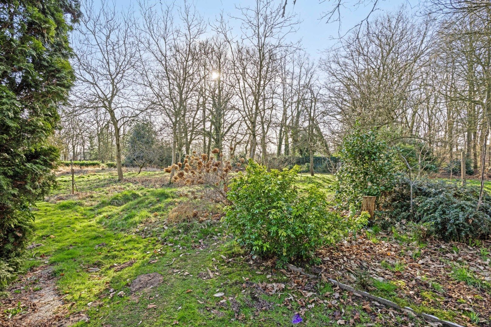 Unieke woonst op 620 are: rust, natuur en eindeloze mogelijkheden! foto 5