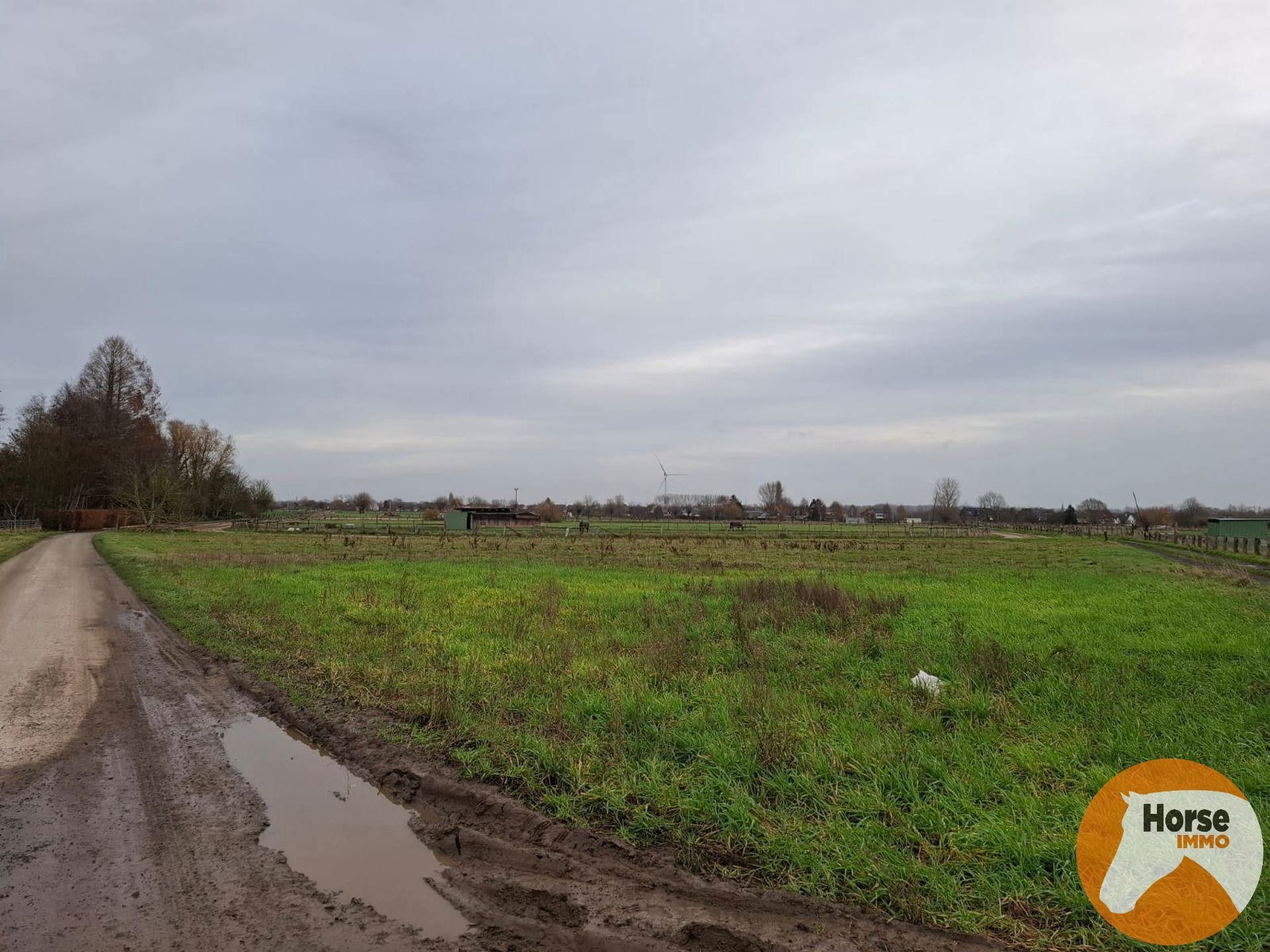 HAALTERT – Perceel weiland van 19a 10ca foto 3