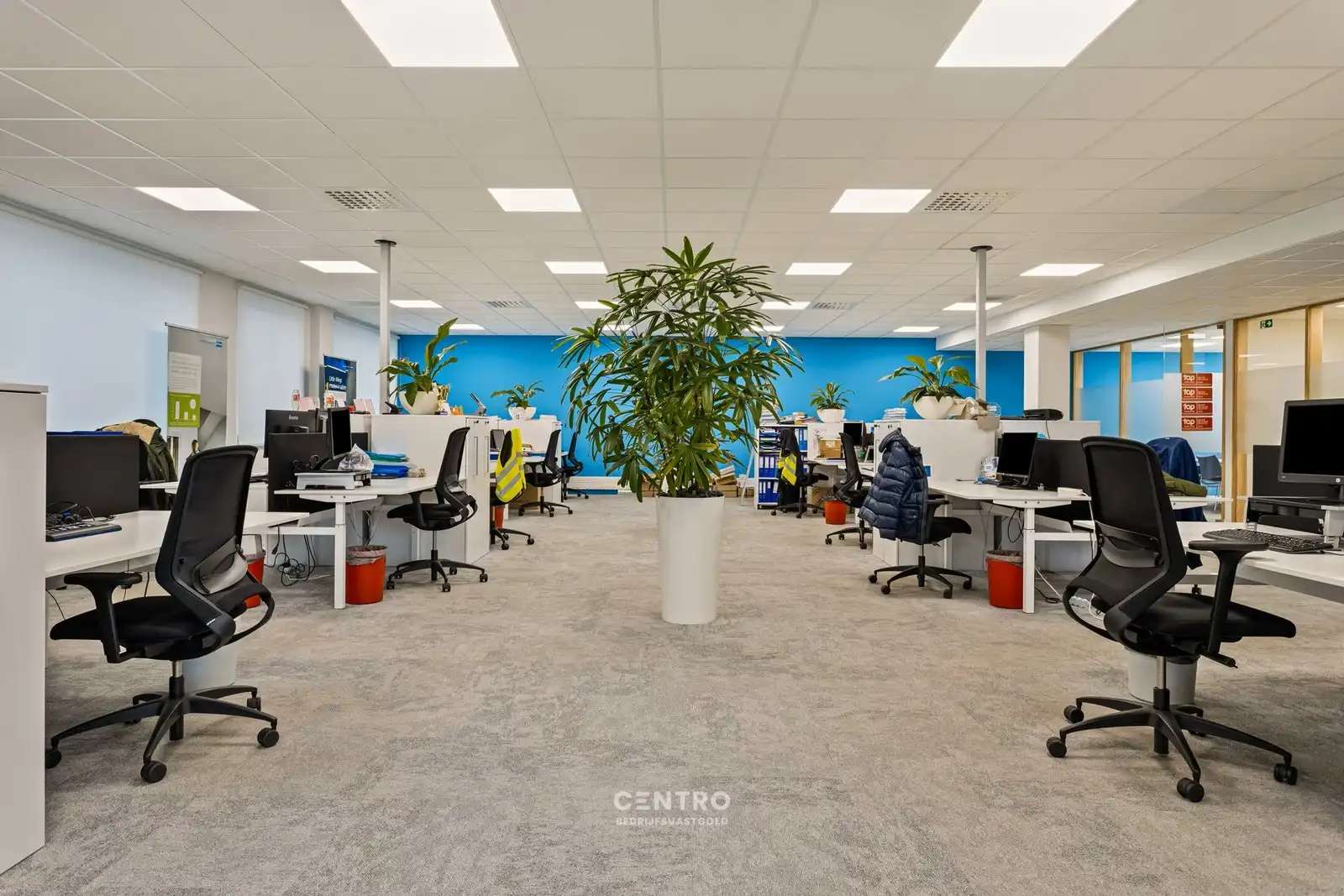 VERNIEUWDE en INSTAPKLARE KANTOORRUIMTEN (259m² en 337m²) op een UITSTEKENDE LOCATIE langs de AUTOSNELWEG te Loppem (Brugge-Zedelgem)! foto 10