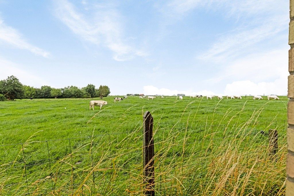 ALVERINGEM: Voormalige herberg "De Rustplaats" waar grazende koeien Uw dichtste buur zijn in een weids en open landschap op 1.000m² grondoppervlakte foto 17