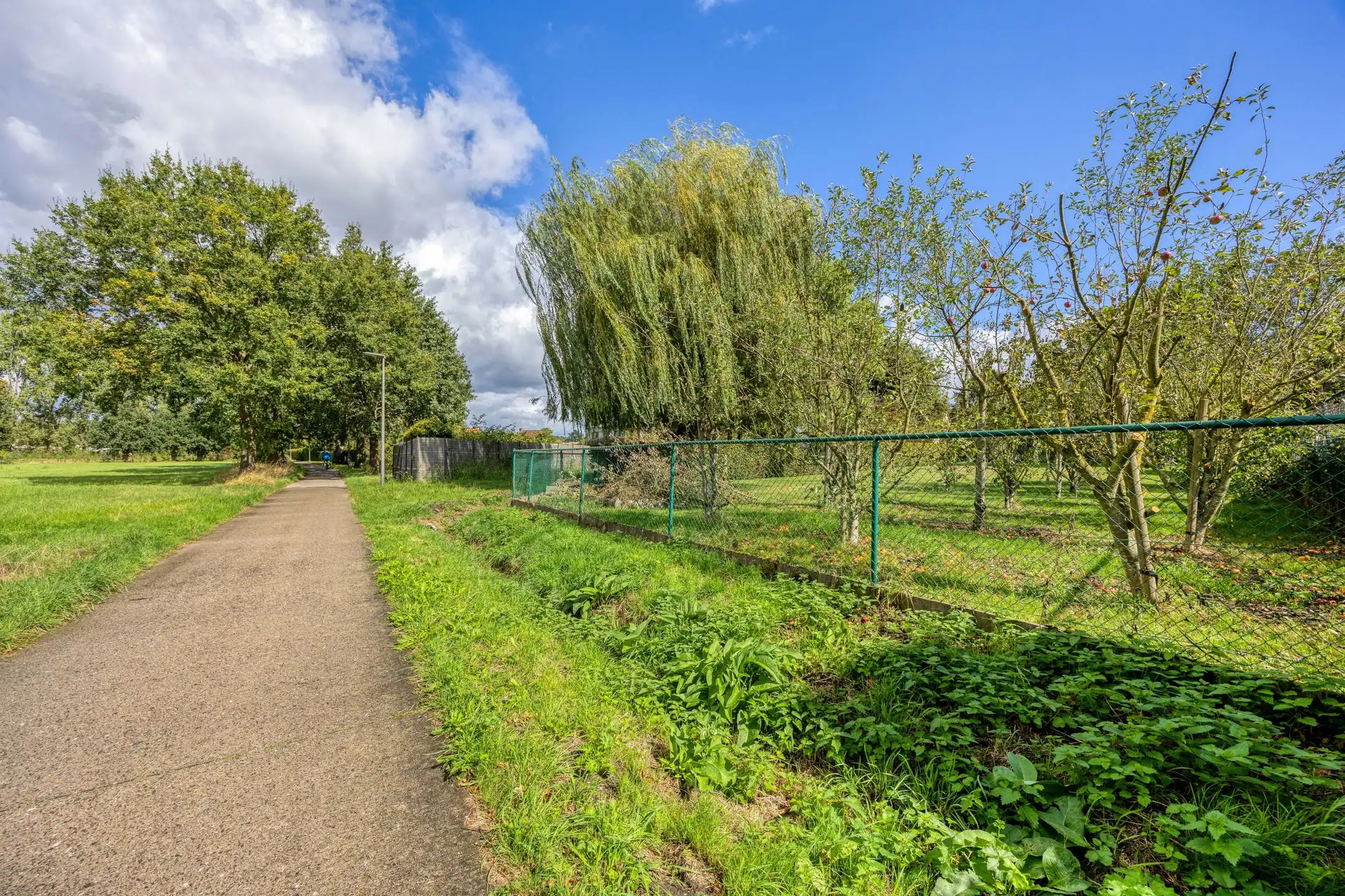 Ruime villa met prachtig groen verzicht foto 15