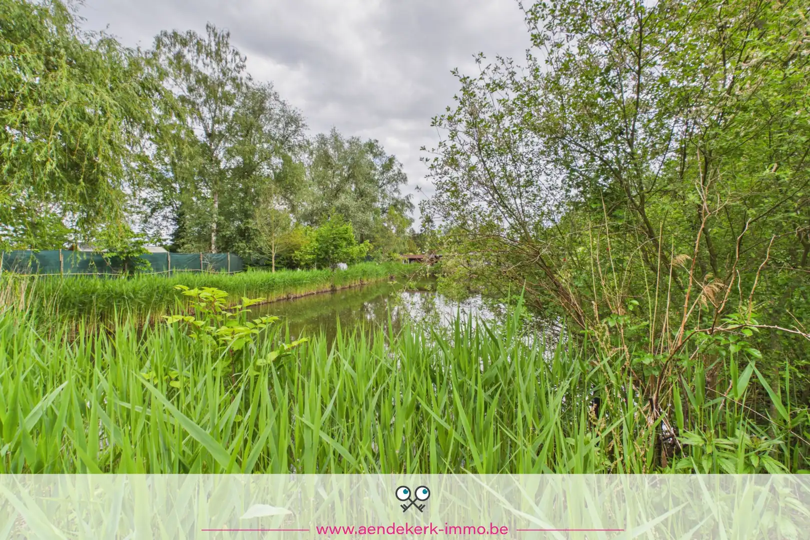 Bijzondere recreatie-eigendom met vijver en bemeubelde chalet te Maaseik foto 23