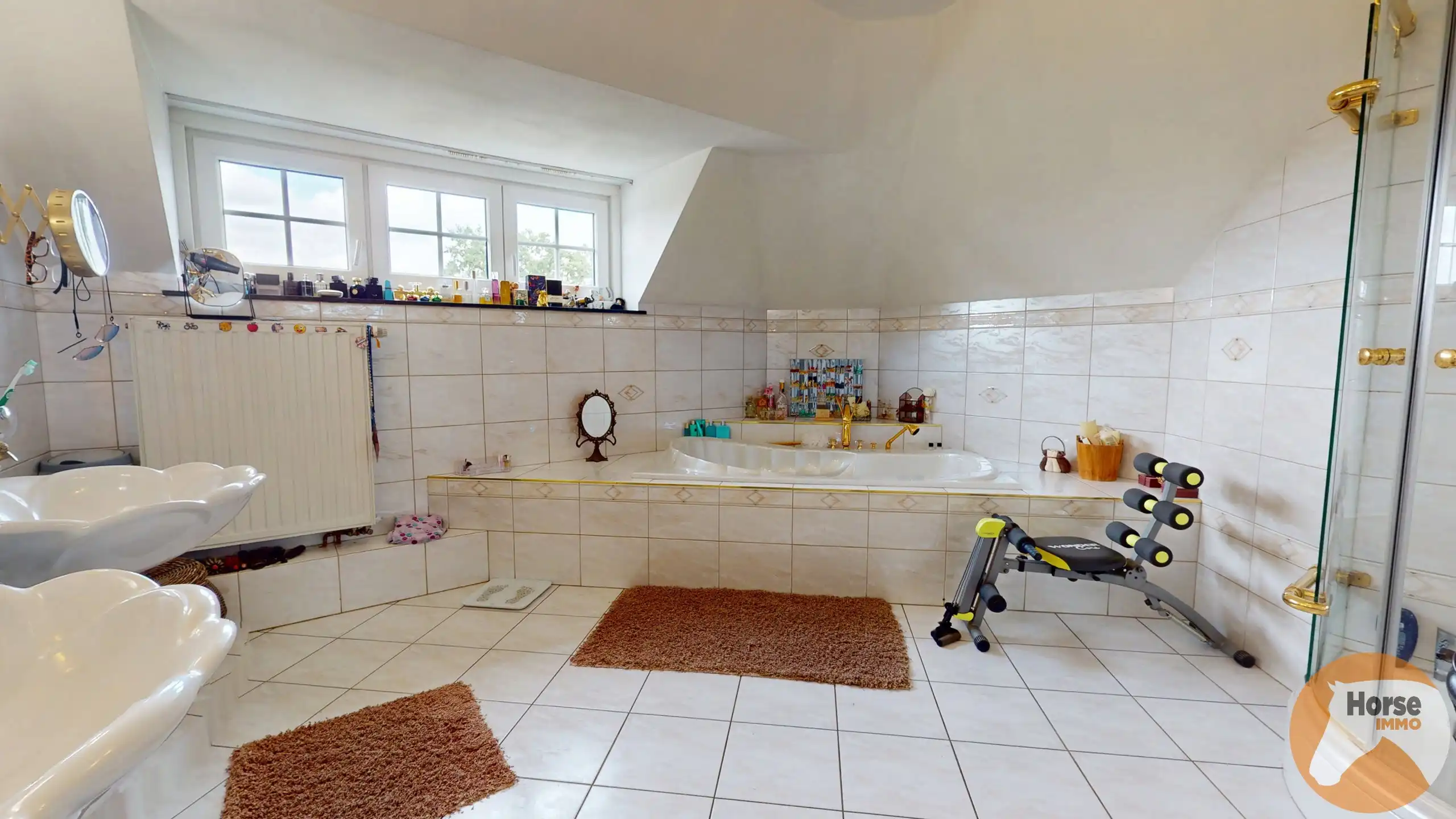 NEEROETEREN-Woning met accommodatie voor (semi)professioneel foto 23