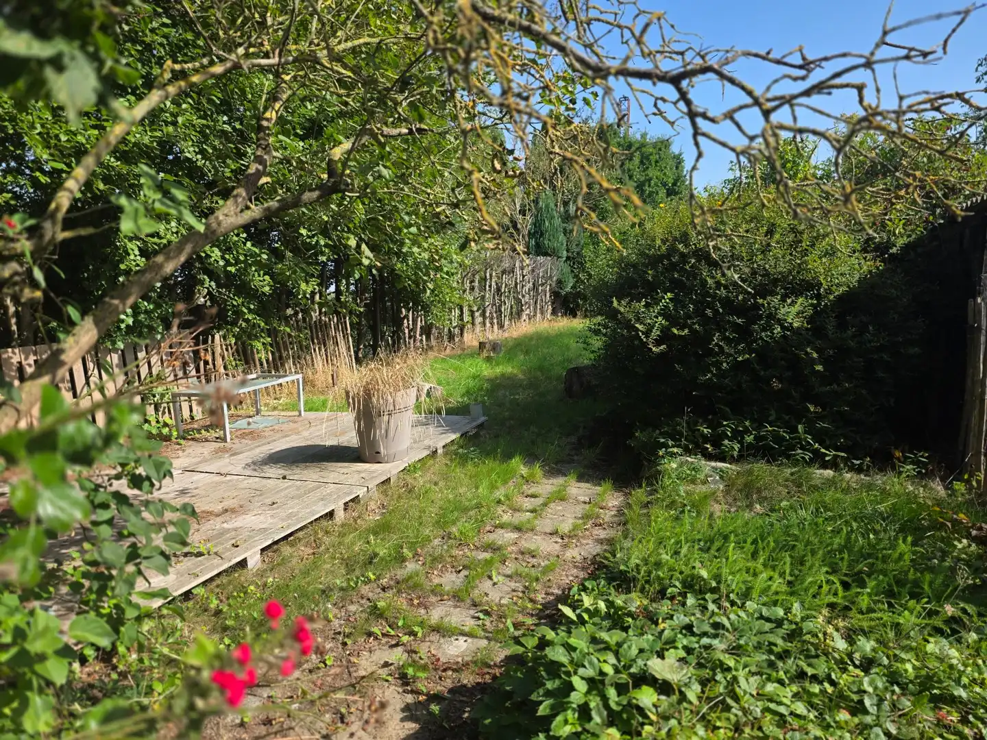Huis te koop foto 9