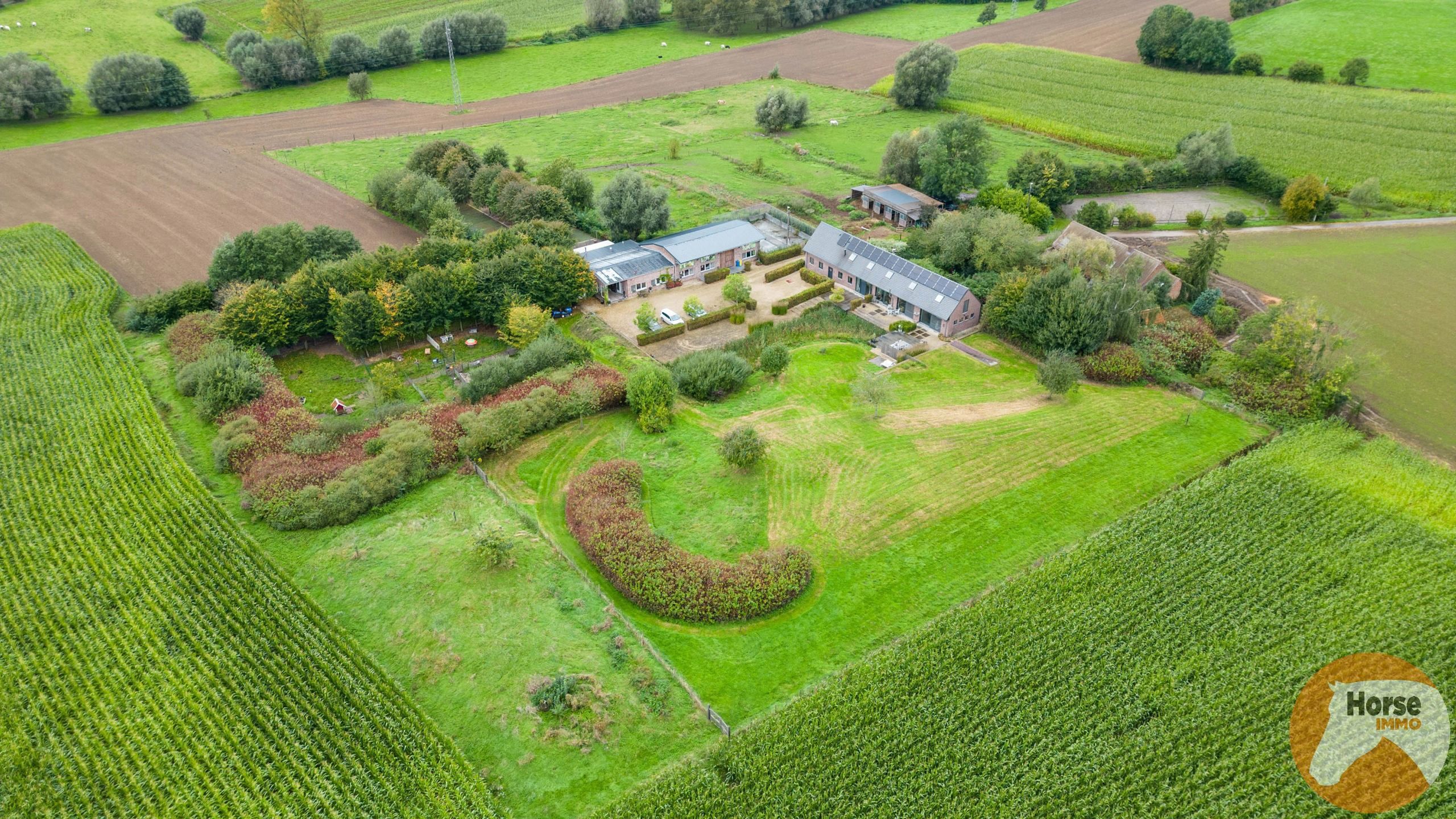 BEVER - Prachtige woning met bijgebouw op 1,95Ha foto {{pictureIndex}}