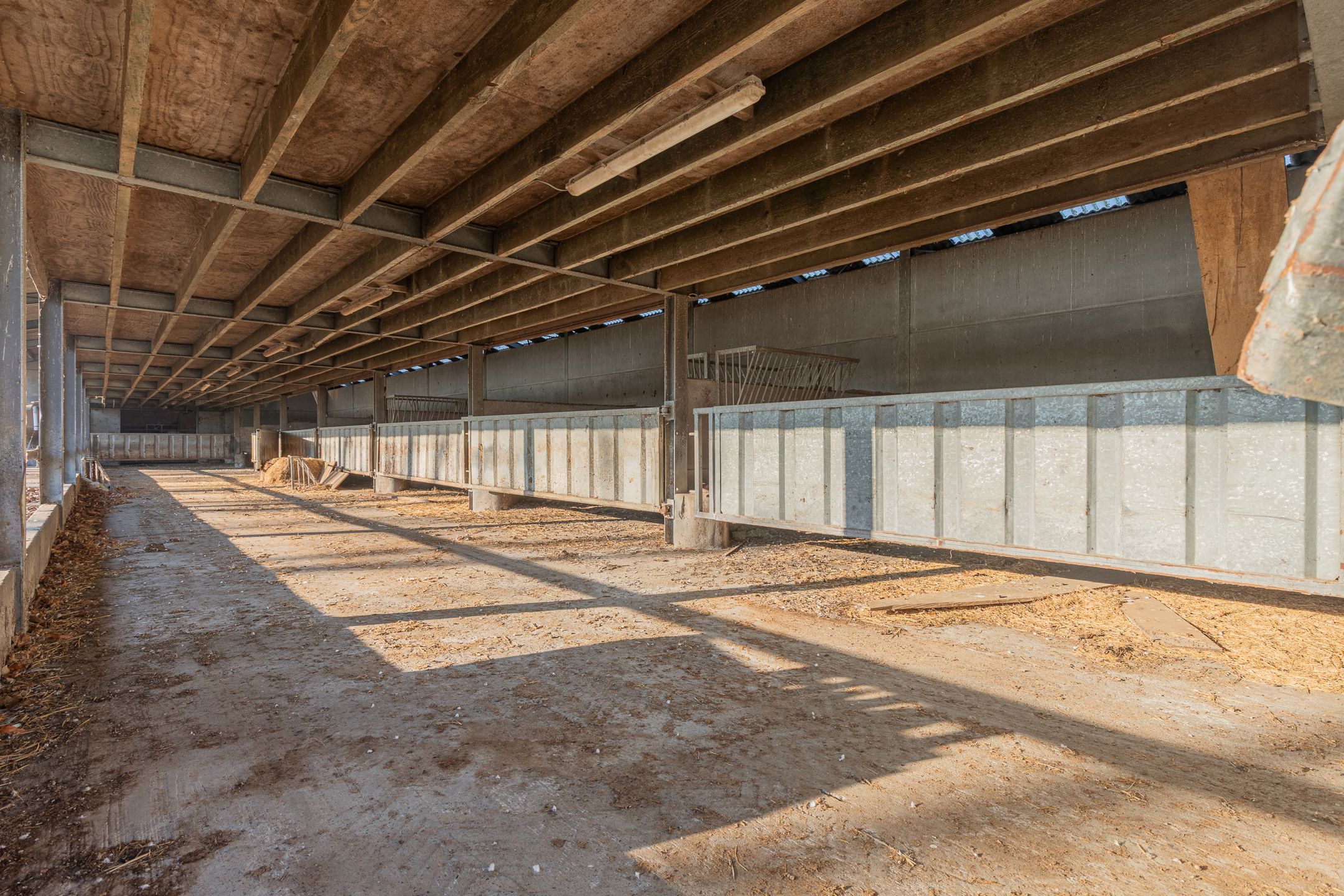 LAARNE- &nbsp;Landbouweigendom met geïntegreerde woning&nbsp; foto 21