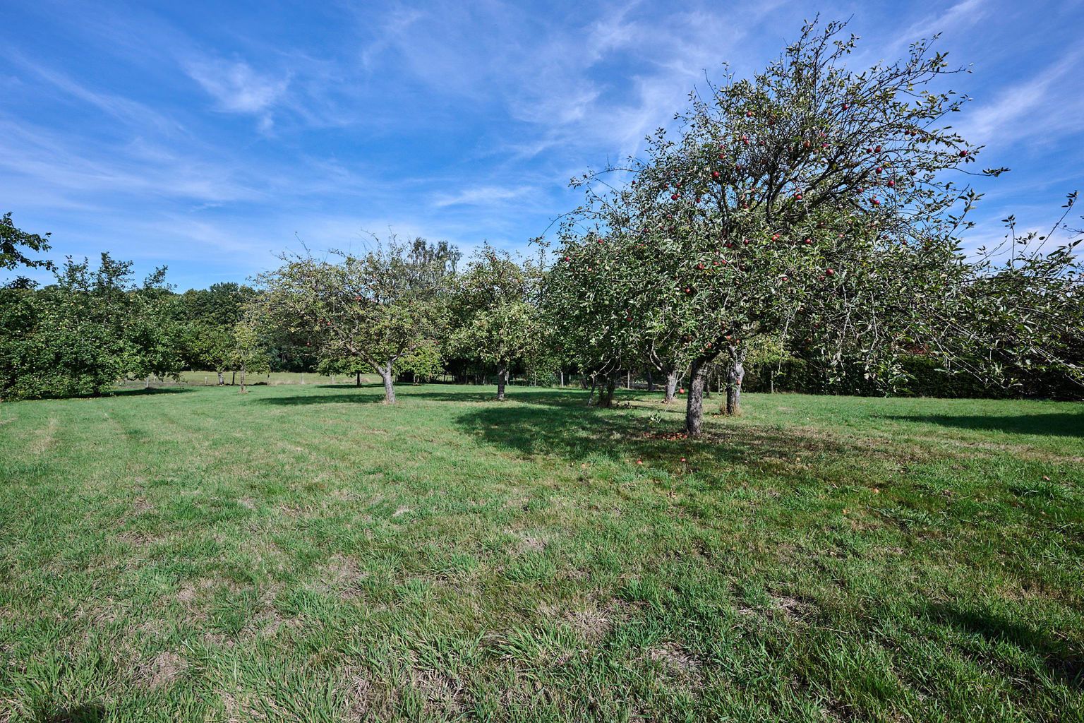 Villa te koop foto 16