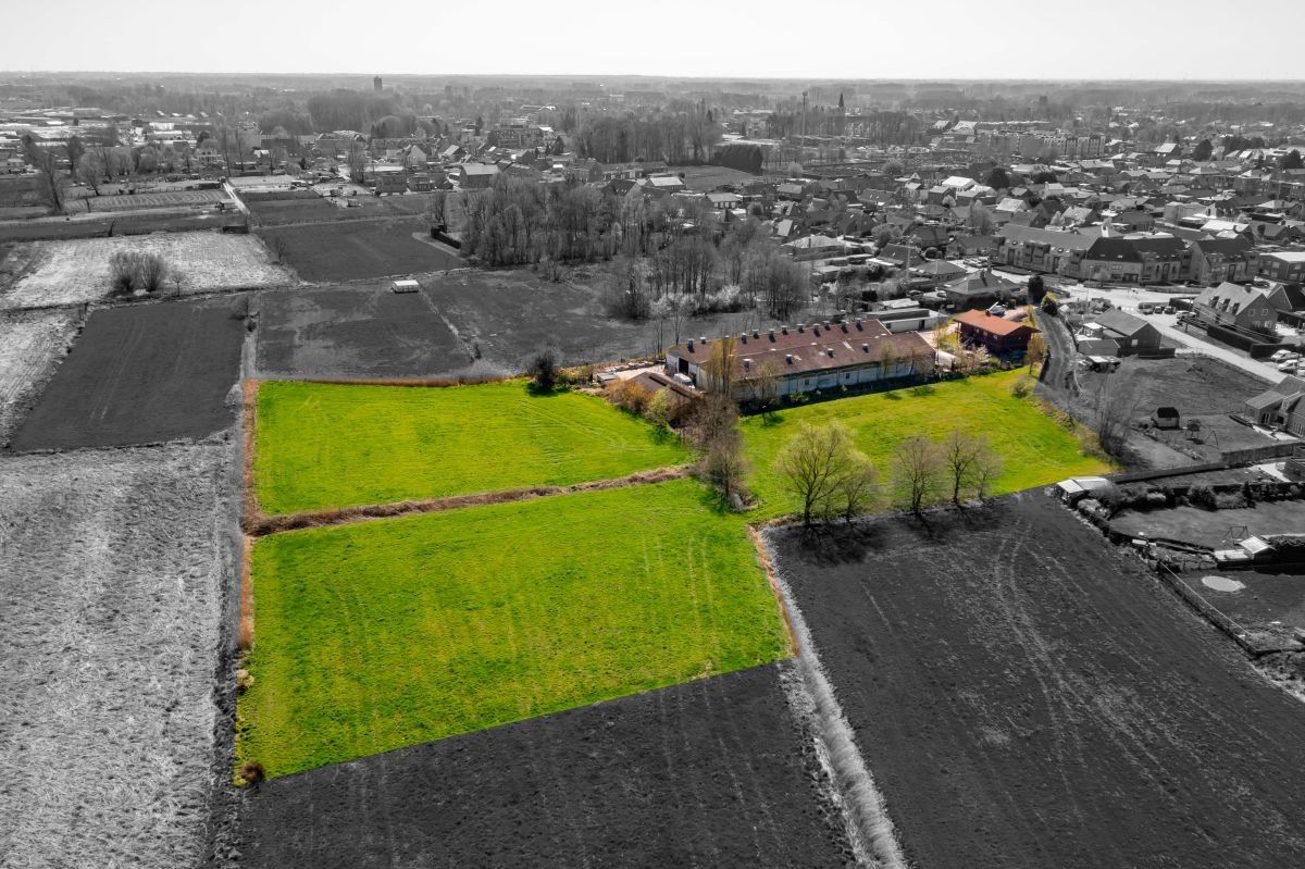 Hoeve met woning, ruime stallen en aanpalende grond te koop te Stekene. foto 13