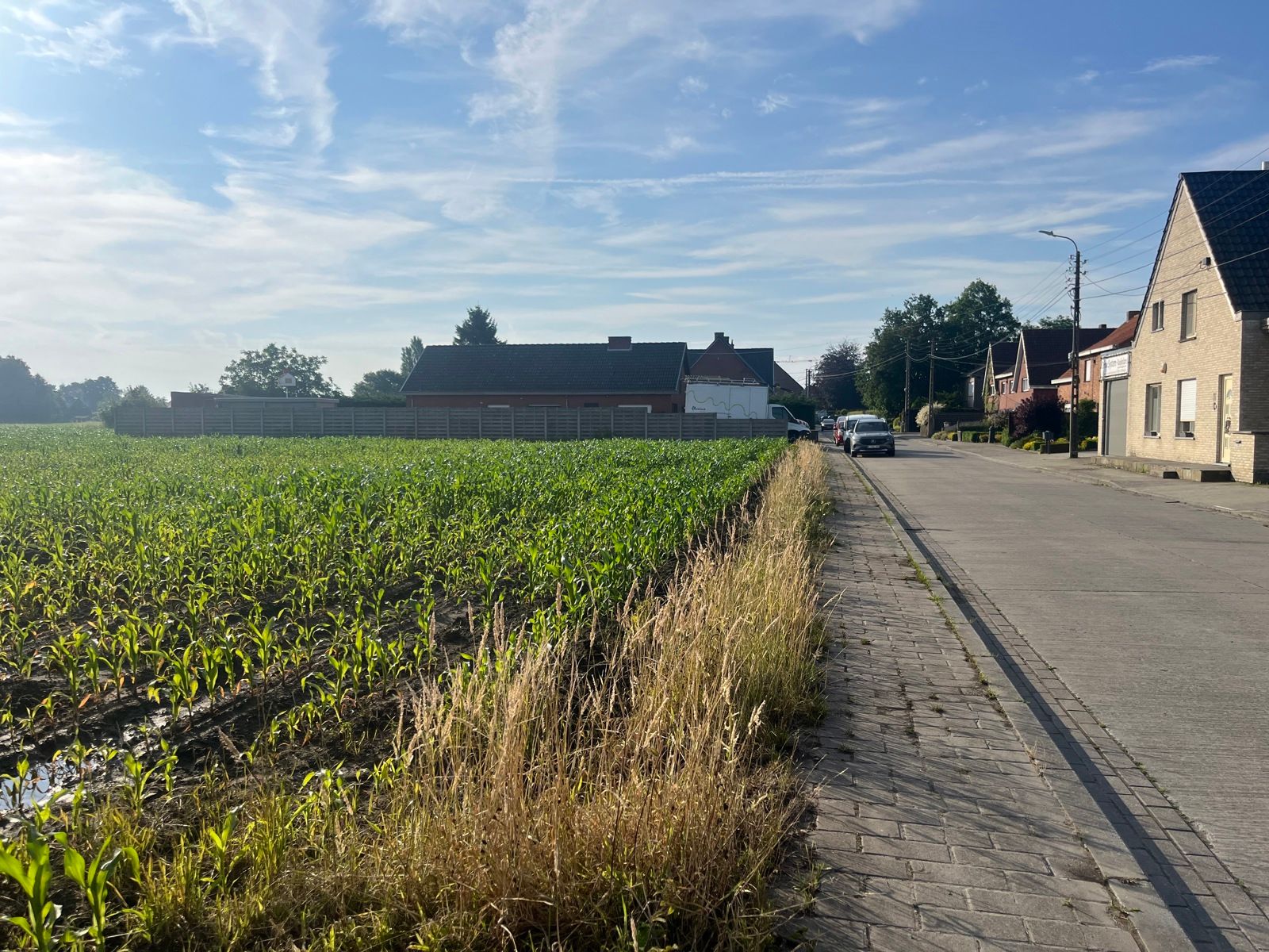 Grond te koop foto 3