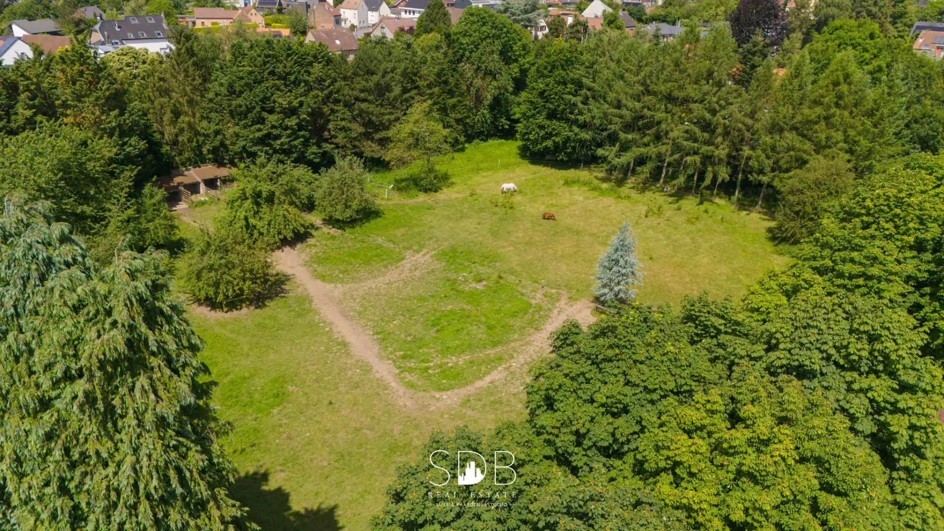 Prachtig kasteel met omringend park, weilanden en stalgebouw op circa 5hectare foto 37