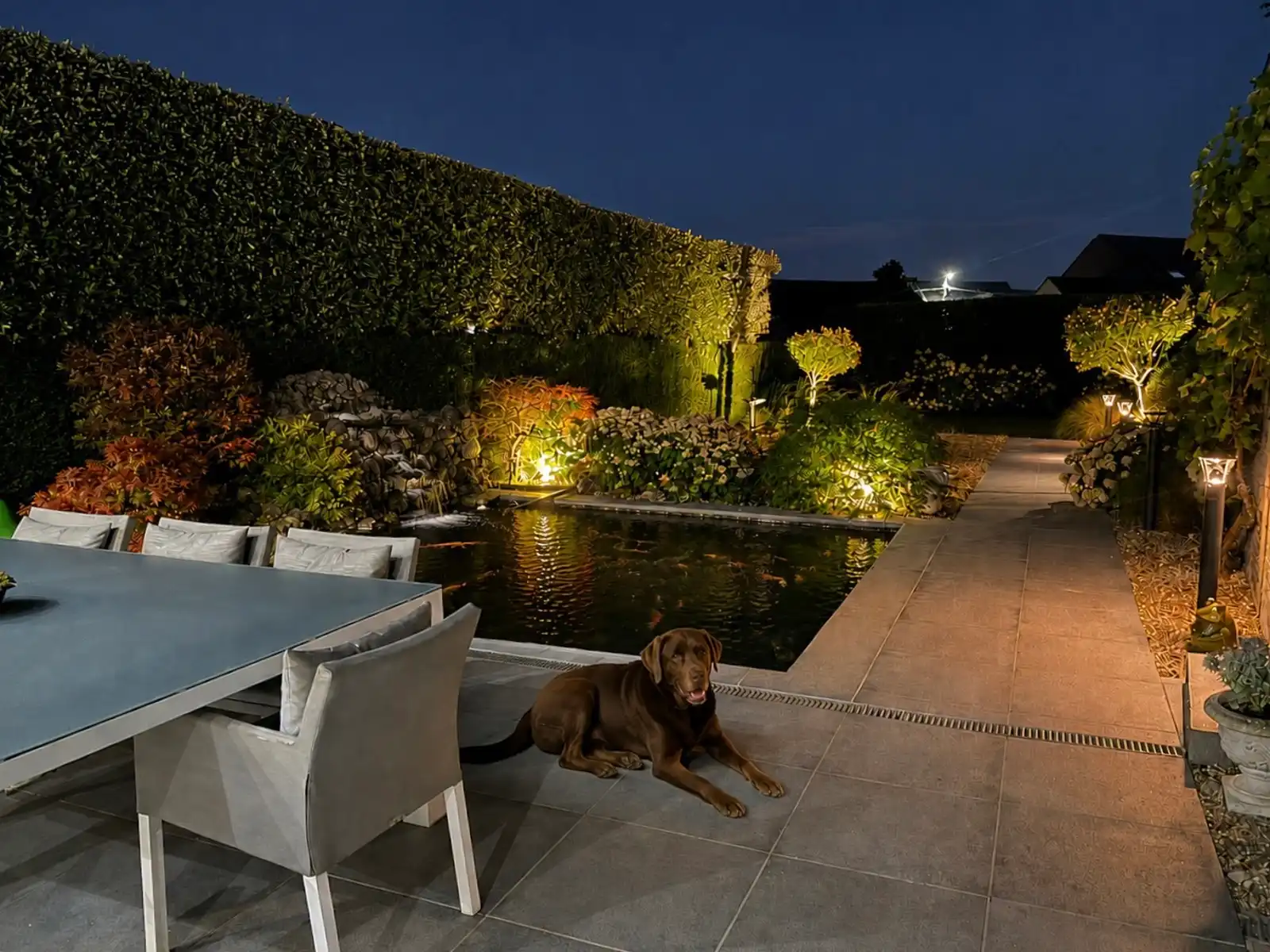 Luxe woning met alle comfort, prachtige leefveranda en tuin. foto 30