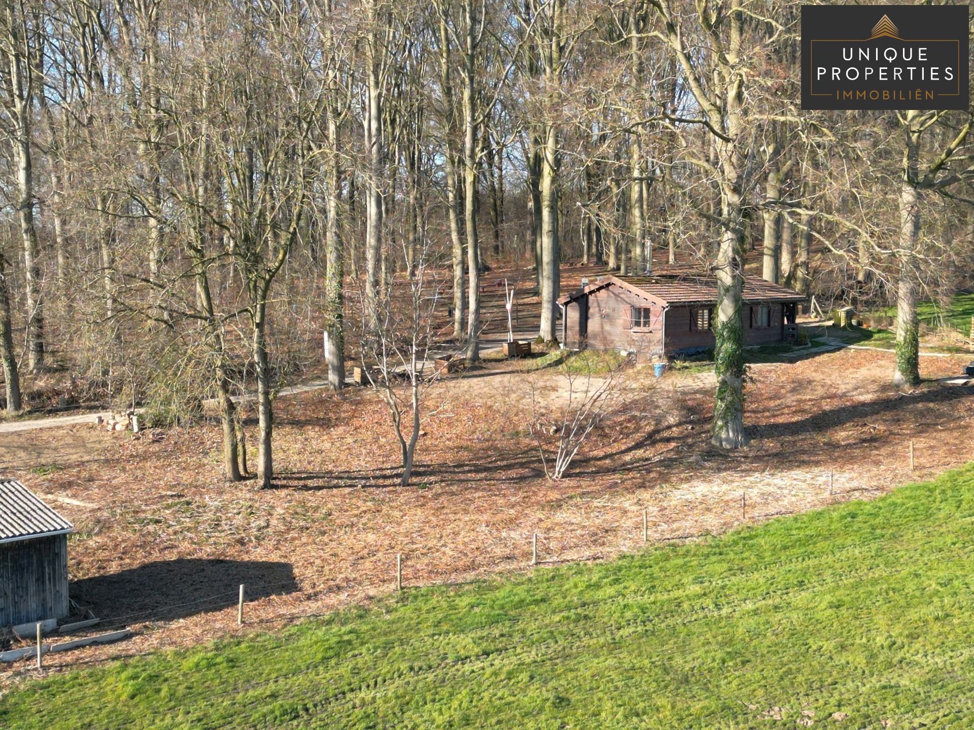 Chalet te koop foto 17