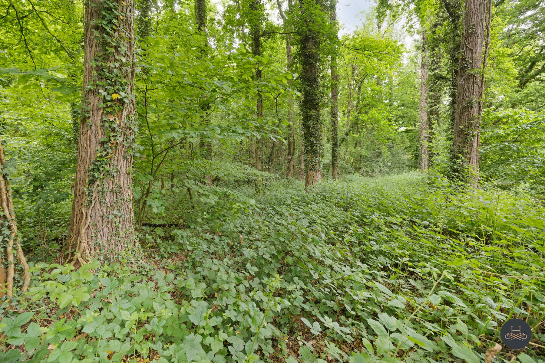 Instapklare gezinsvilla in het groen foto 30