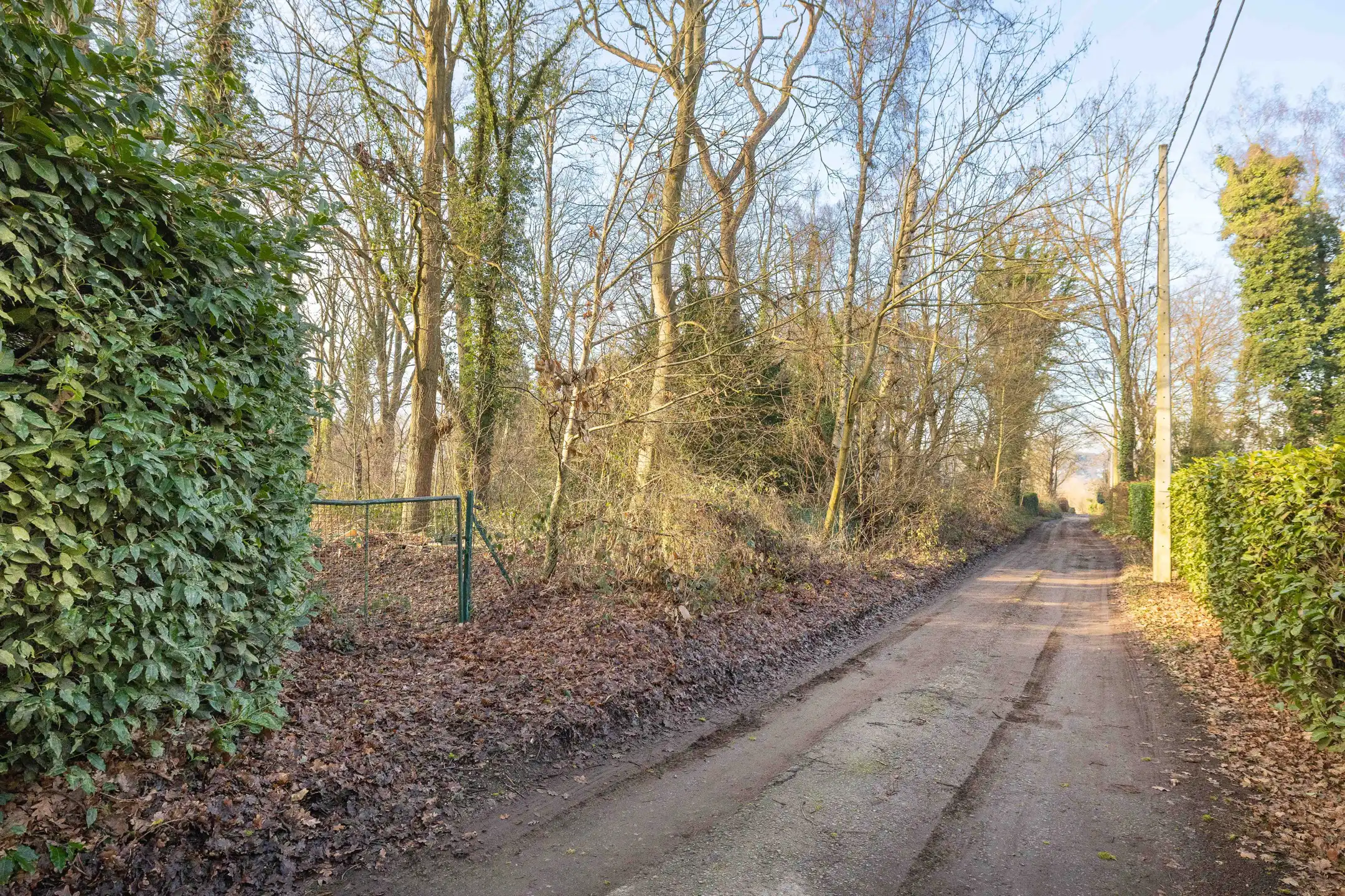 Bouwgrond - 43 are pure rust! foto 2