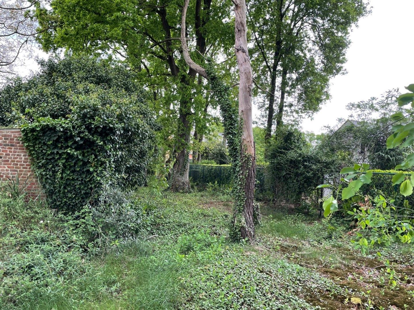 Gelijkvloerse woning in Mol met 1302m² tuin foto 6