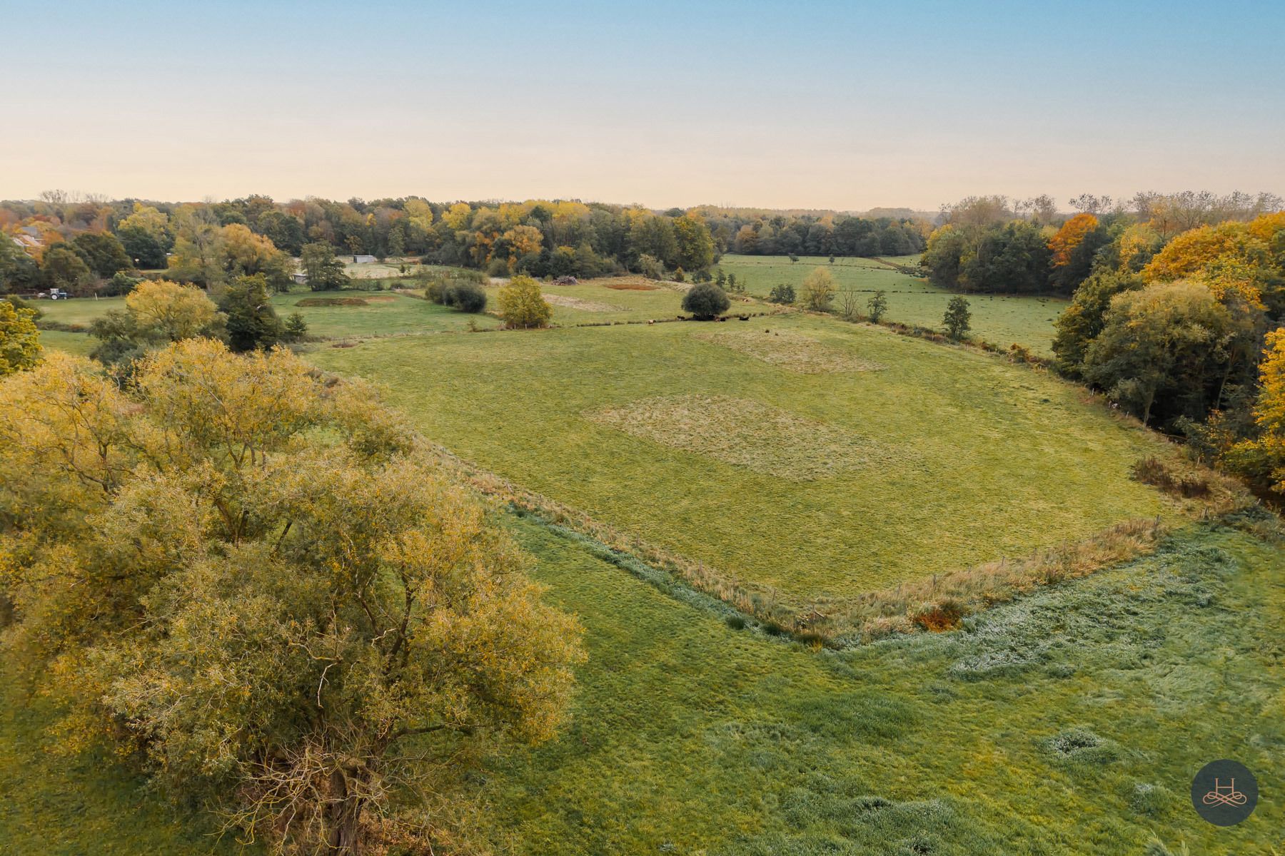 Groen, rustig gelegen woning op 1.71 ha tussen de weilanden foto 12
