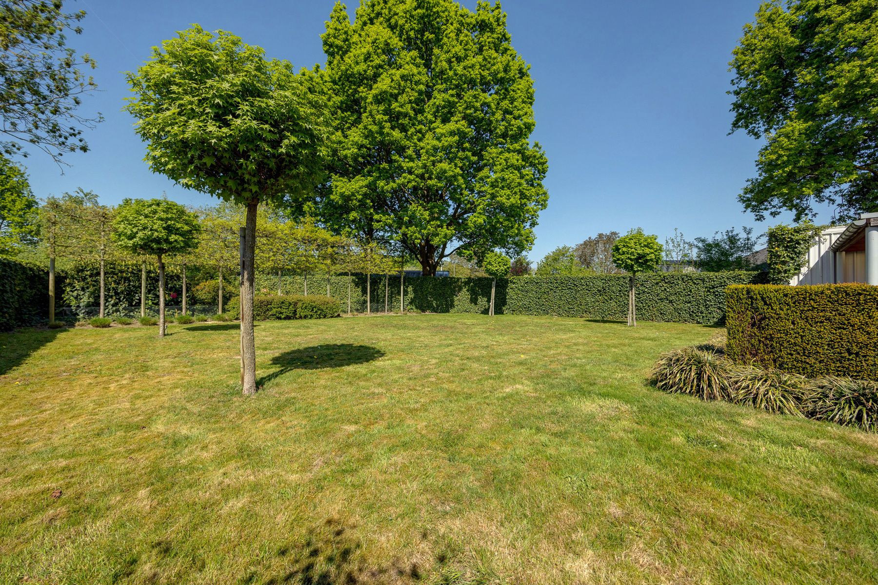Huis te koop foto 47