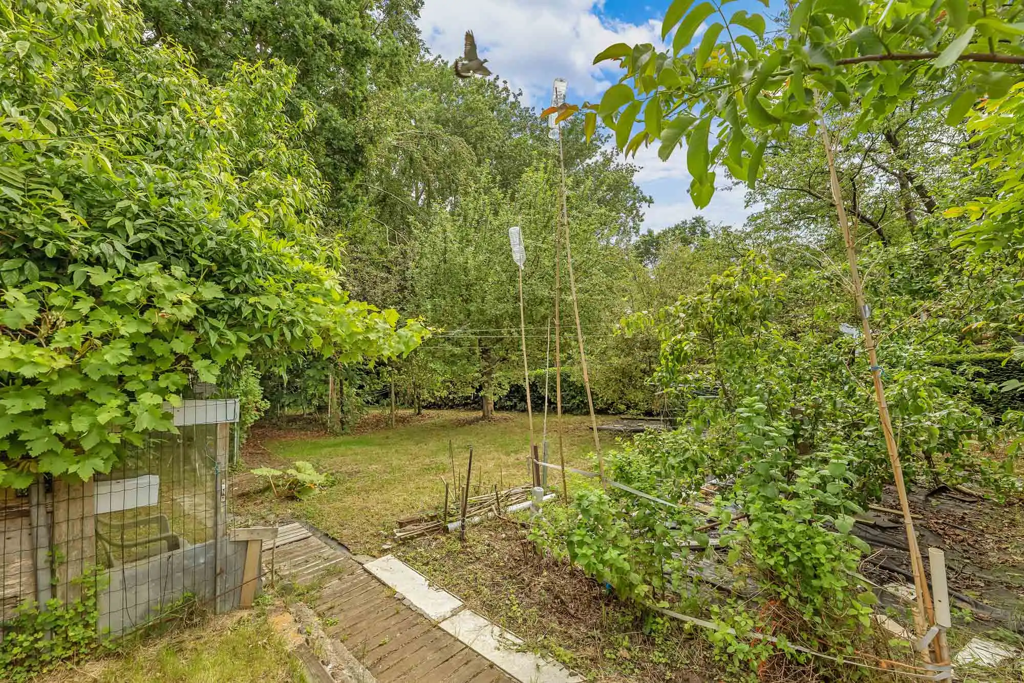 Ruime bungalow met uitzonderlijk potentieel op toplocatie foto 27