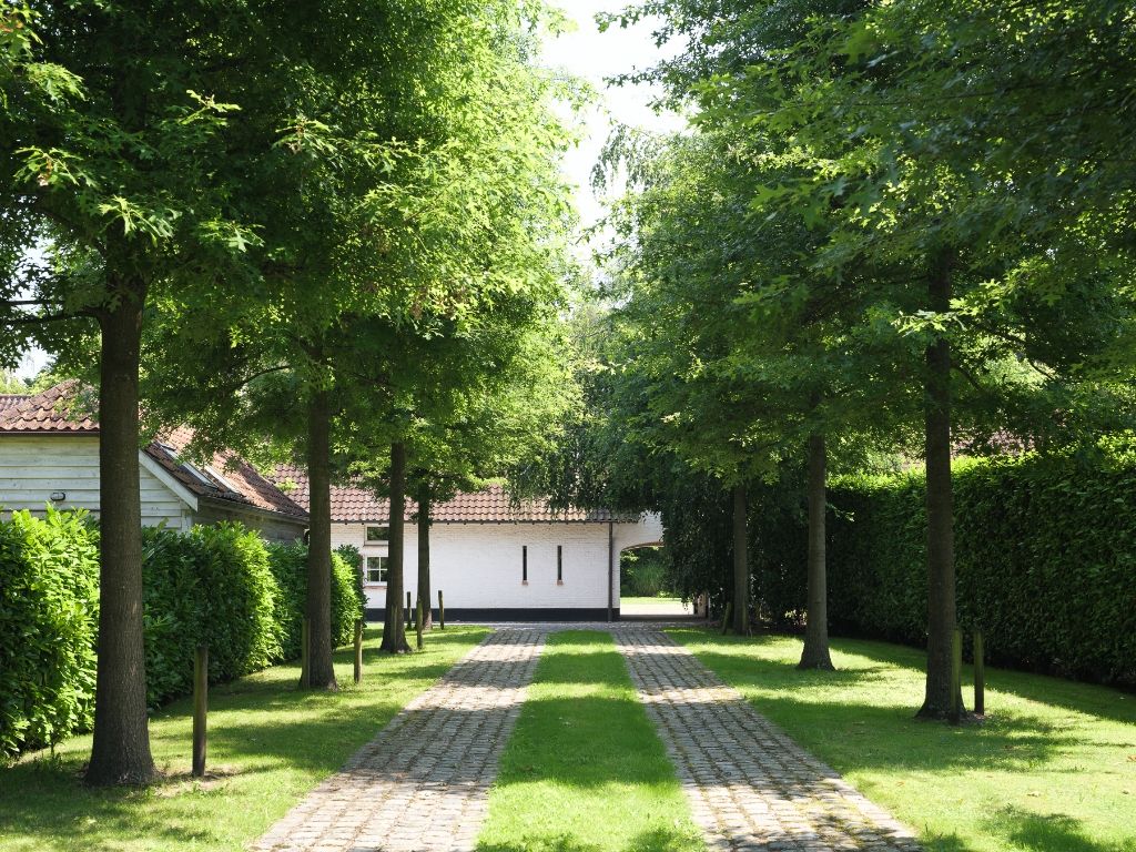 Destelbergen. Op te frissen woning in hoevestijl met aanhorigheden, gelegen op een bijzonder ruim perceel (4.783 m2) omgeven door groen. foto 2