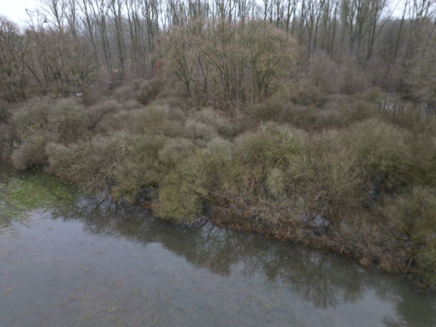 Twee percelen bosgrond in natuurgebied. foto 6