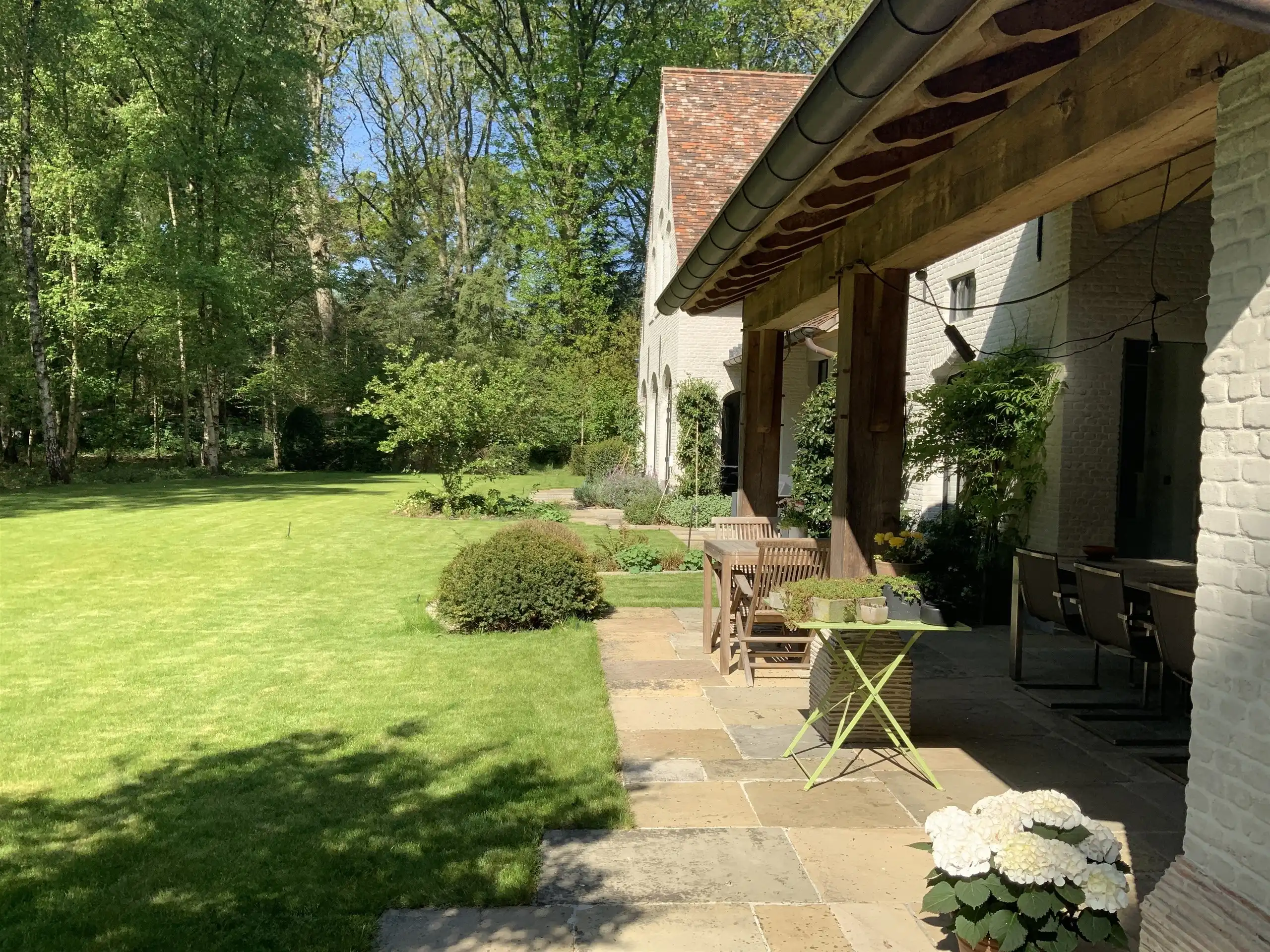 Majestueus Meesterwerk in de bossen van Hertsberge foto 9