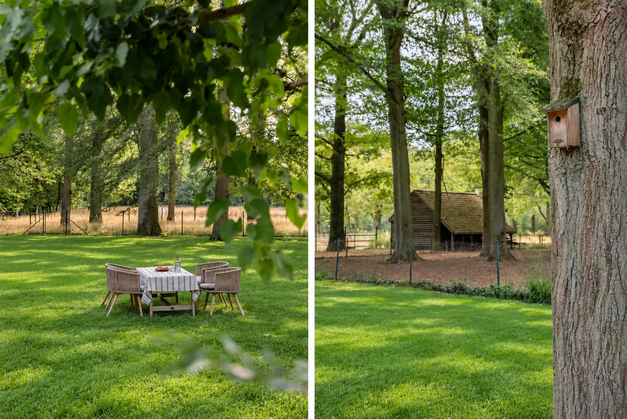 Op ca. 12 hectare: karaktervol landhuis met diverse bijgebouwen én dit in een waardevol cultuurhistorisch kader foto 8
