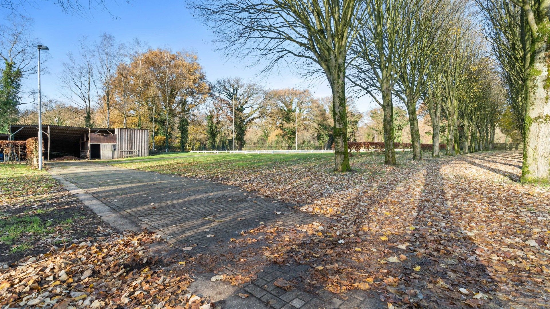 Exclusief landhuis met overdekte piste, buitenpiste en paardenstallen op circa 3 hectare foto 62