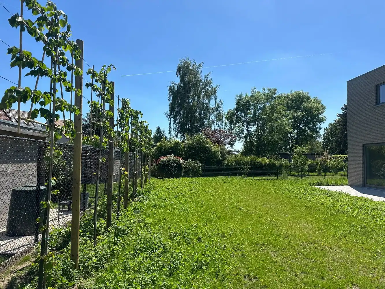 Energiezuinige nieuwbouwwoning met 3 slaapkamers en carport op een rustige locatie foto 19
