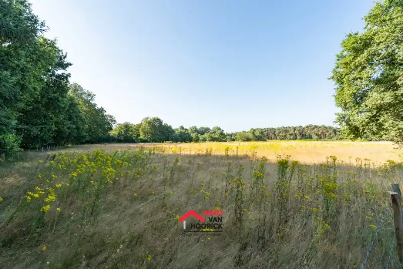 Recreatiegrond van 1381m² te koop - Stekene foto 2