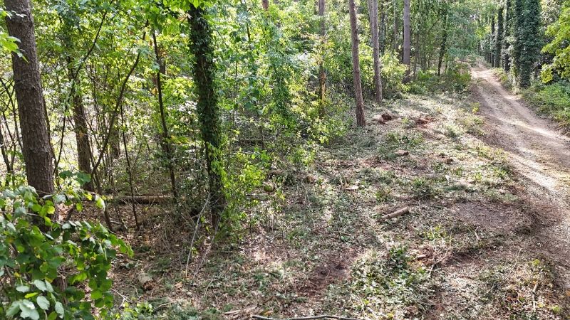 Residentieel gelegen bouwgrond van 15 are voor open bebouwing nabij golf- en meerdomein foto 5