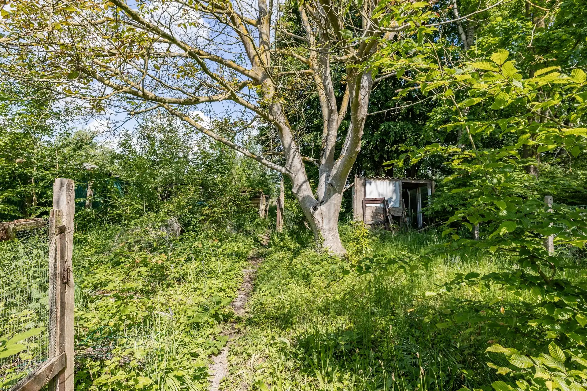 Halfopen bebouwing met enorm potentieel op een perceel van maar liefst 1.050 m² foto 23