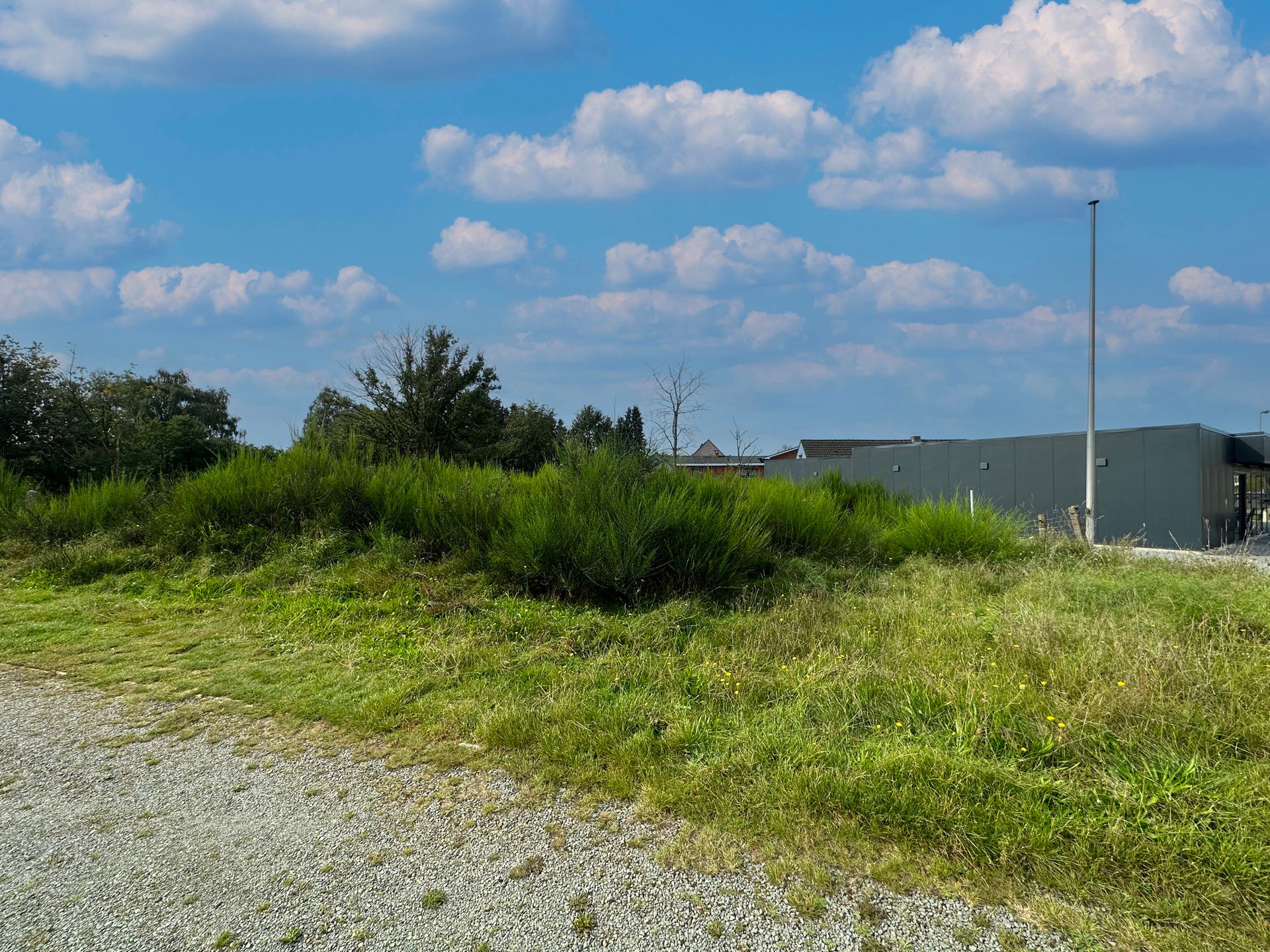 Gunstig gelegen projectgrond te Heusden-Zolder! foto 5